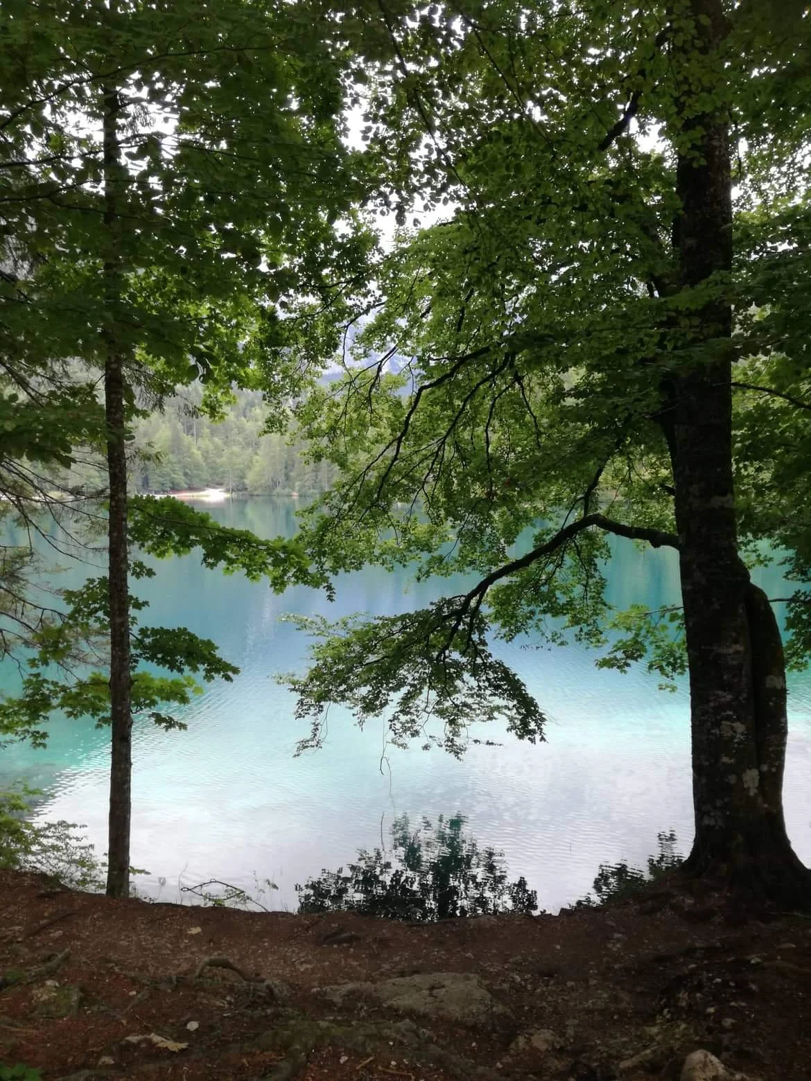 Vračati se v žensko energijo je klic