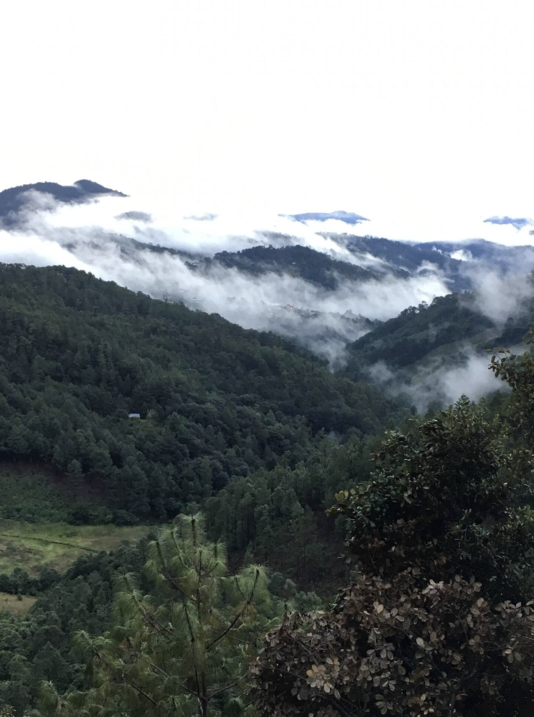 oaxaca 8.png