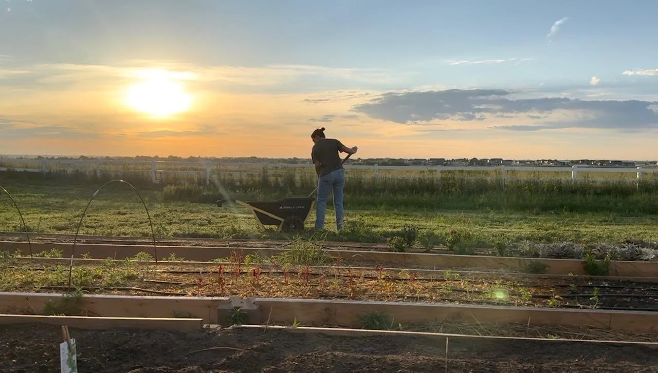 Beauty with Purpose: Our Commitment to Sustainable Floristry