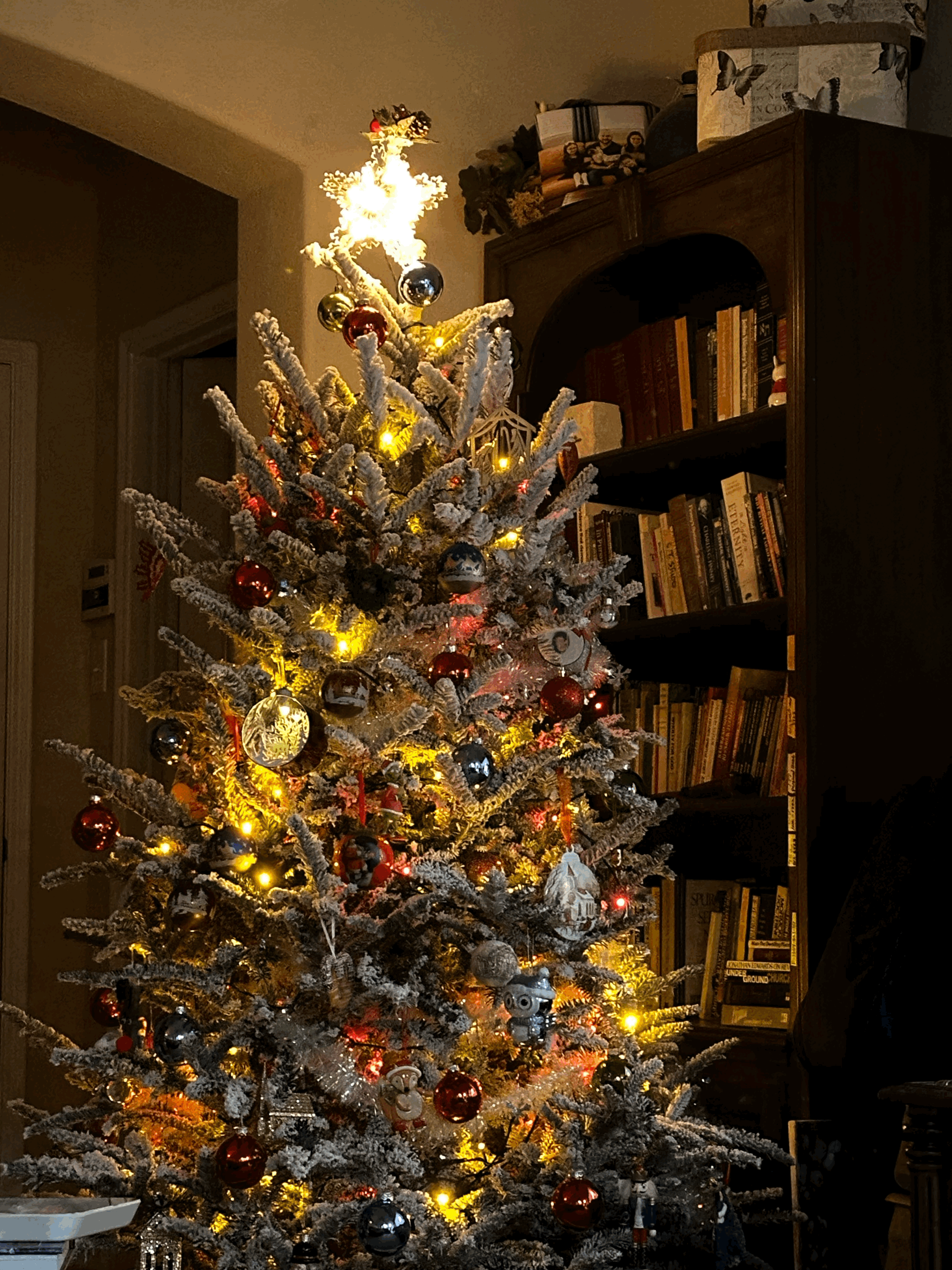 IMG_48240lZ9IB.gif