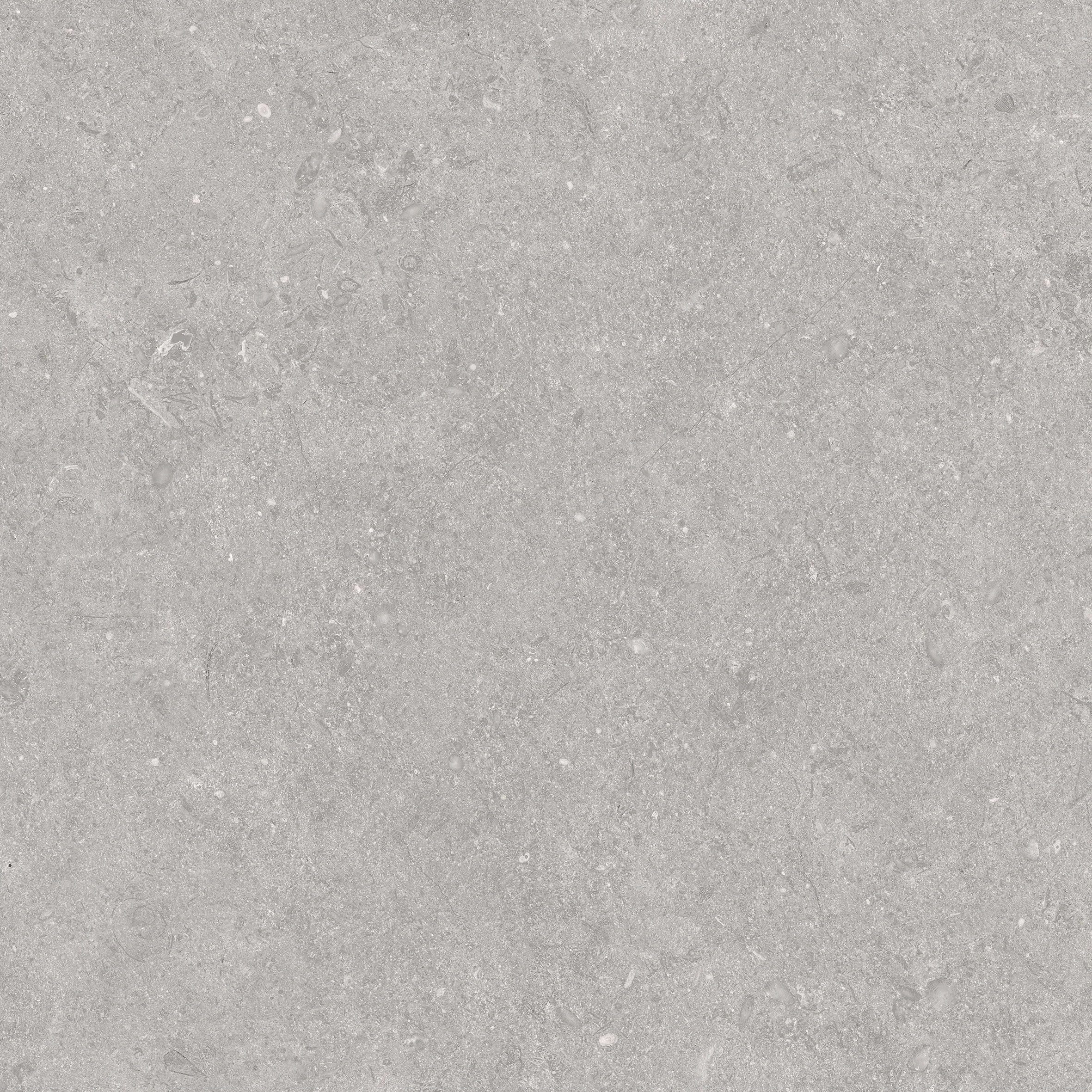 Close-up of Limestone Mist grey stone-look porcelain tile showing delicate fossil-like markings, soft mottling and subtle tonal variation.
