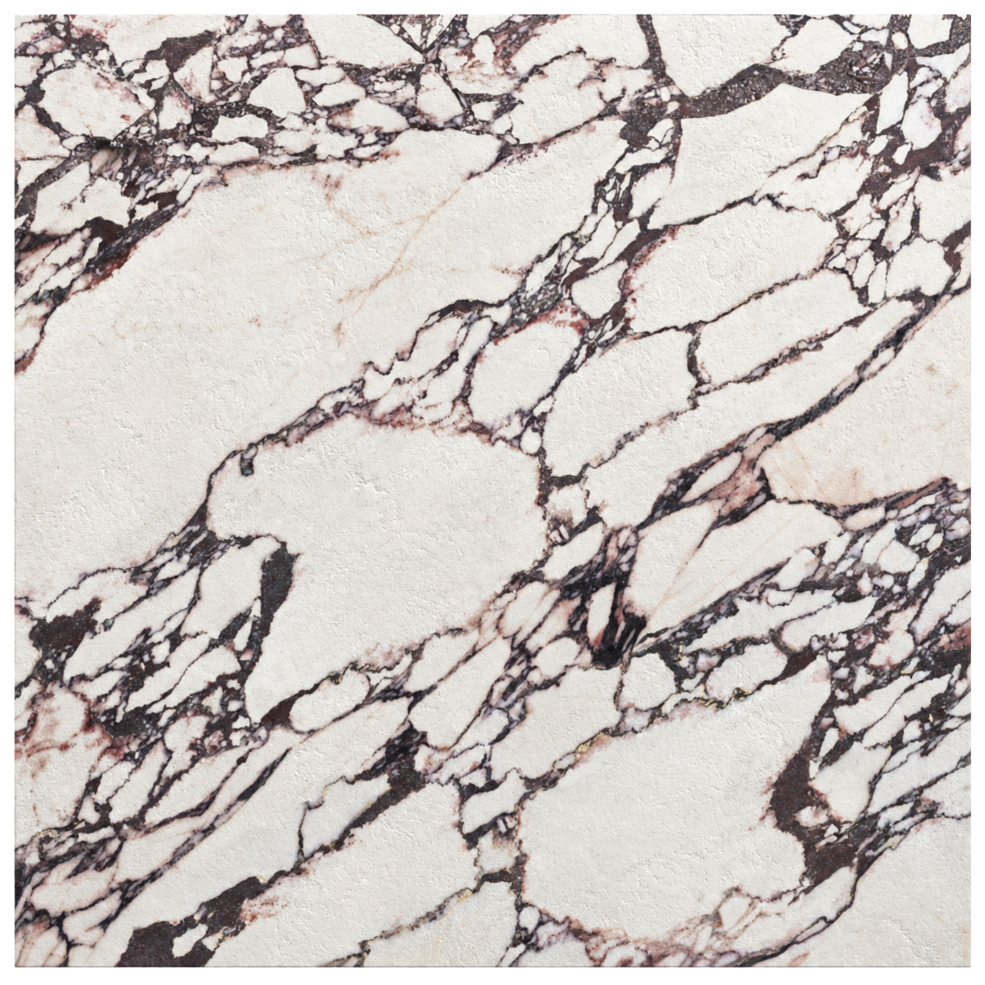 Close-up of Arabesco Viola marble-look porcelain tile showing a creamy white base with bold burgundy, plum and charcoal veining in an irregular branching pattern.