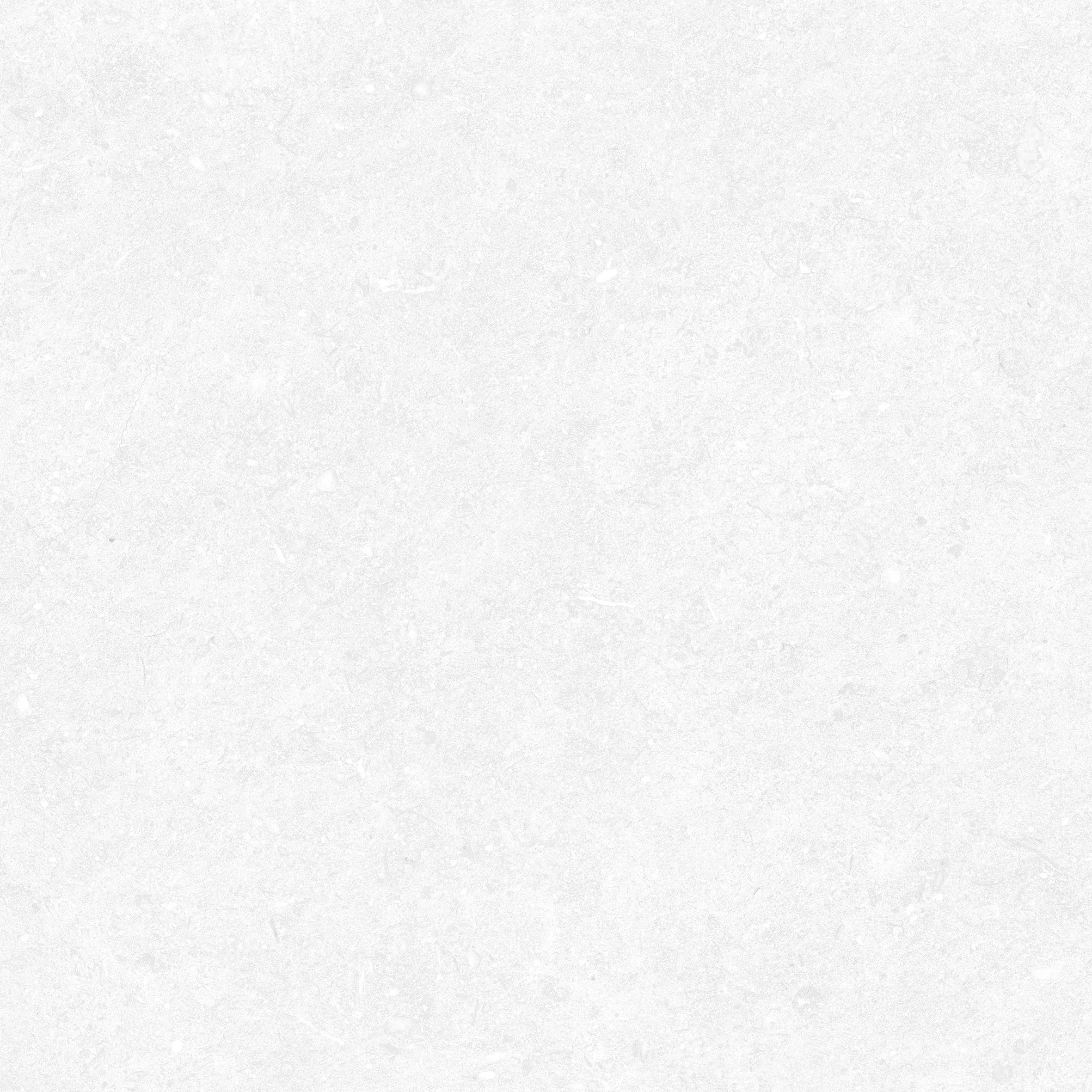 Close-up of Limestone Bianco stone-look porcelain tile in a soft off-white shade with subtle fossil-like details and natural tonal variation.