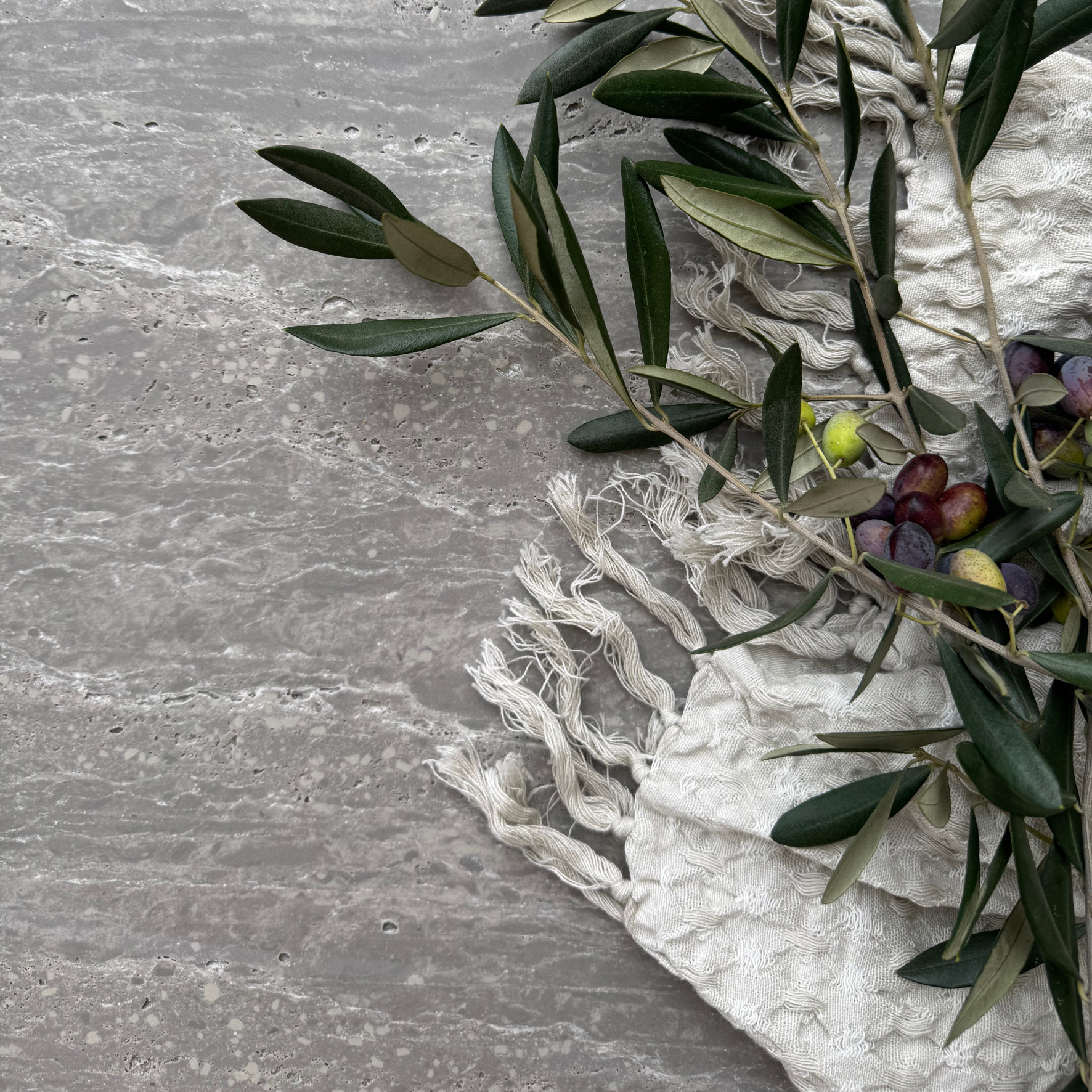 Travertine Classico Ash grey porcelain tile styled with olive branches, dark olives and textured cream fabric, highlighting its layered stone-look veining.