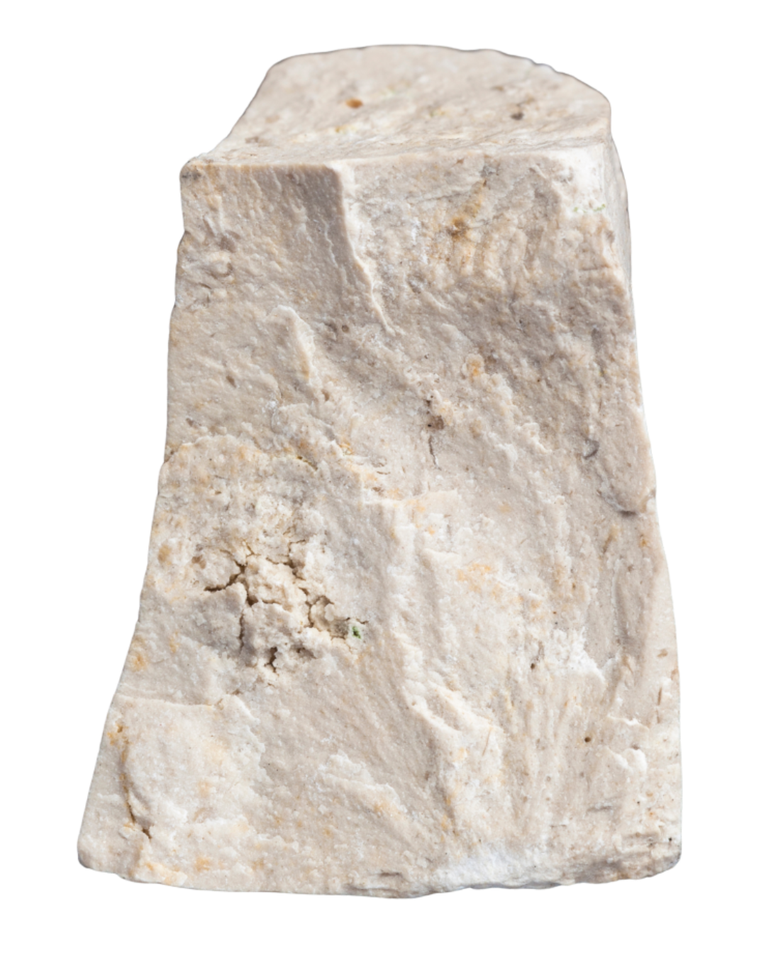 A close-up image of a piece of beige limestone with rough texture.