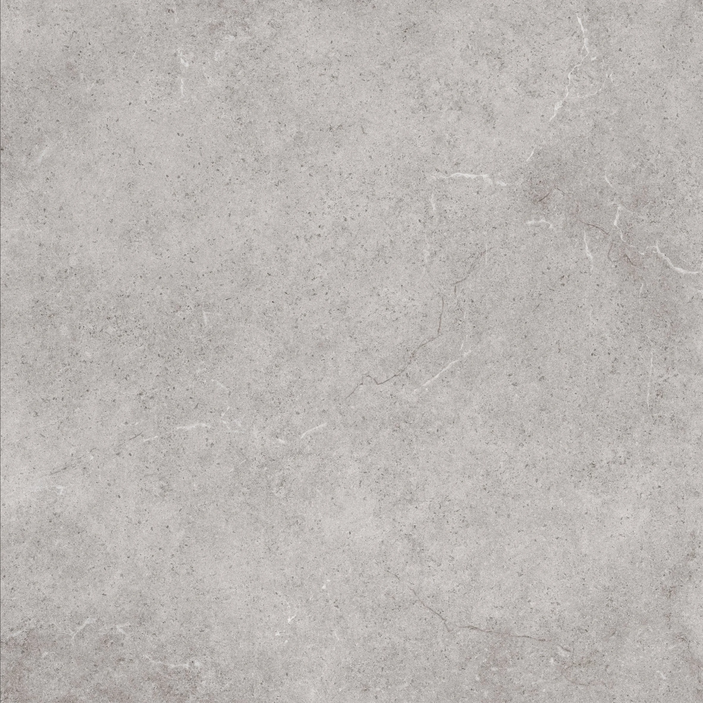 Close-up of Pietra Nostra Mist stone-look porcelain tile showing a mid-grey surface with fine white veining, subtle speckling and natural stone-inspired texture.