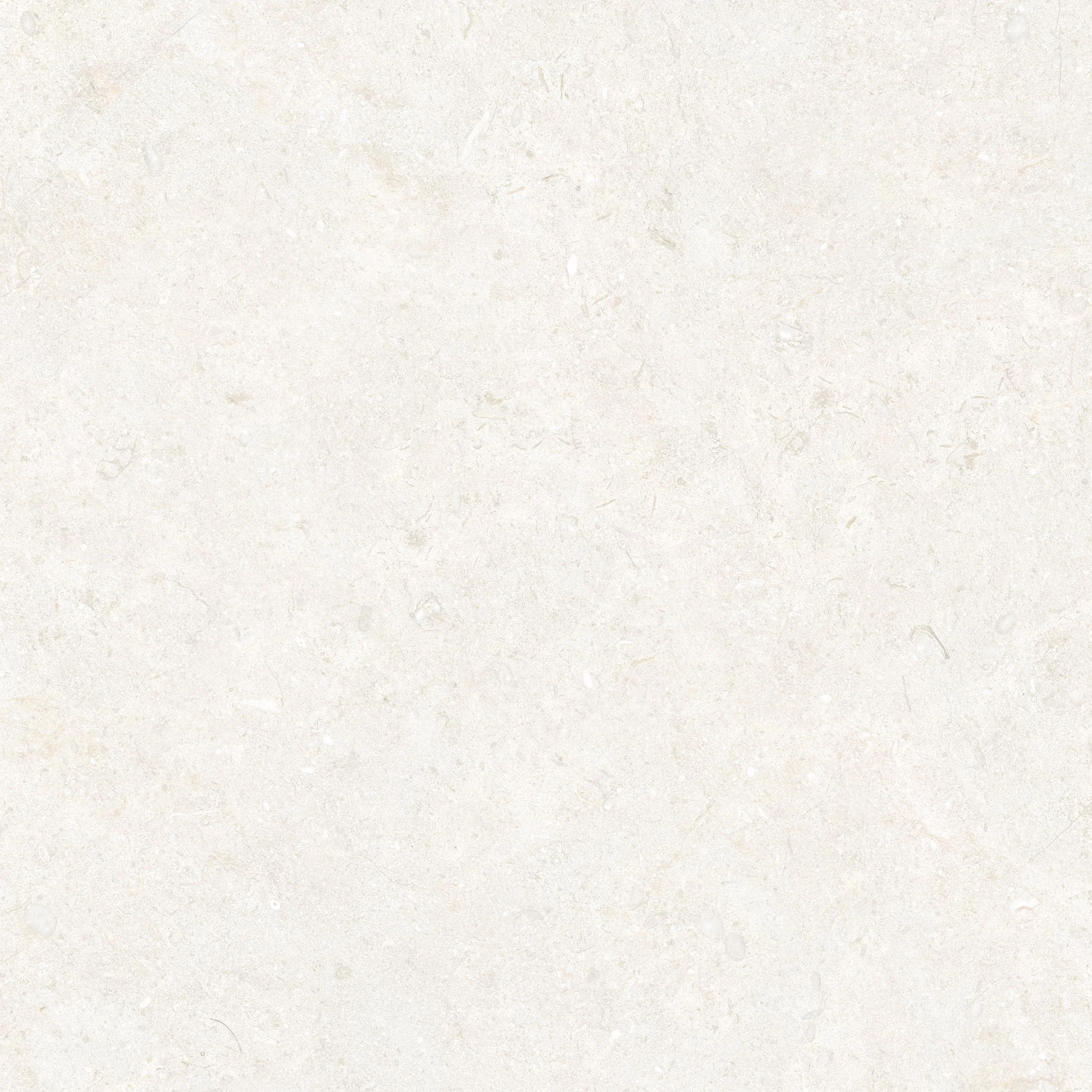 Close-up of Limestone Ivory stone-look porcelain tile showing a warm cream and ivory surface with subtle fossil-like markings and soft natural variation.