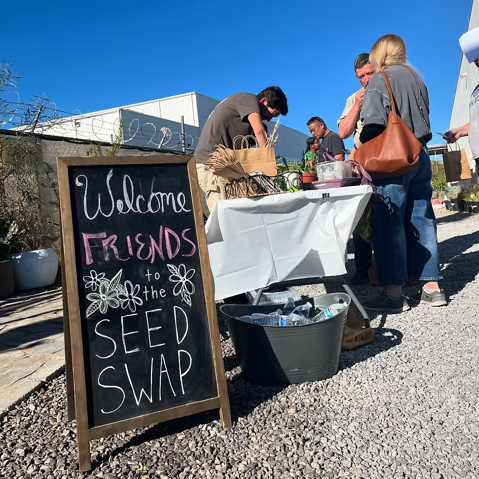 Seed Swap at Mojave Bloom
