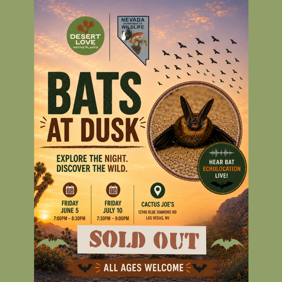 Bats at Dusk: A Nevada Bat Viewing Experience .
