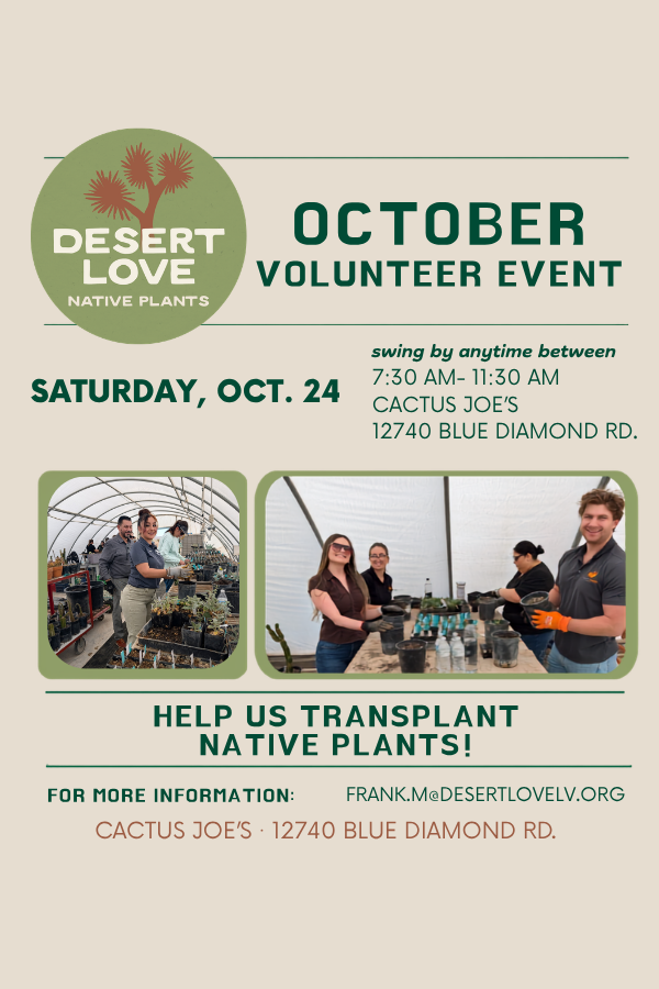 Desert Love Fall Volunteer Days