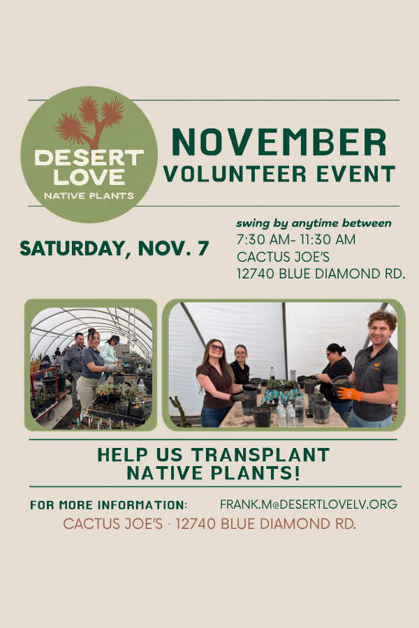 Desert Love Fall Volunteer Days