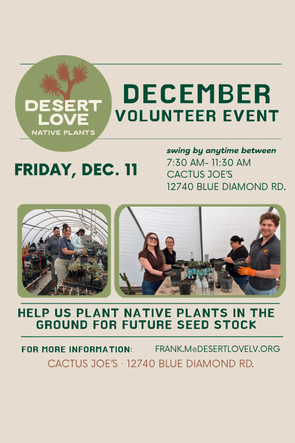 Desert Love Fall Volunteer Days