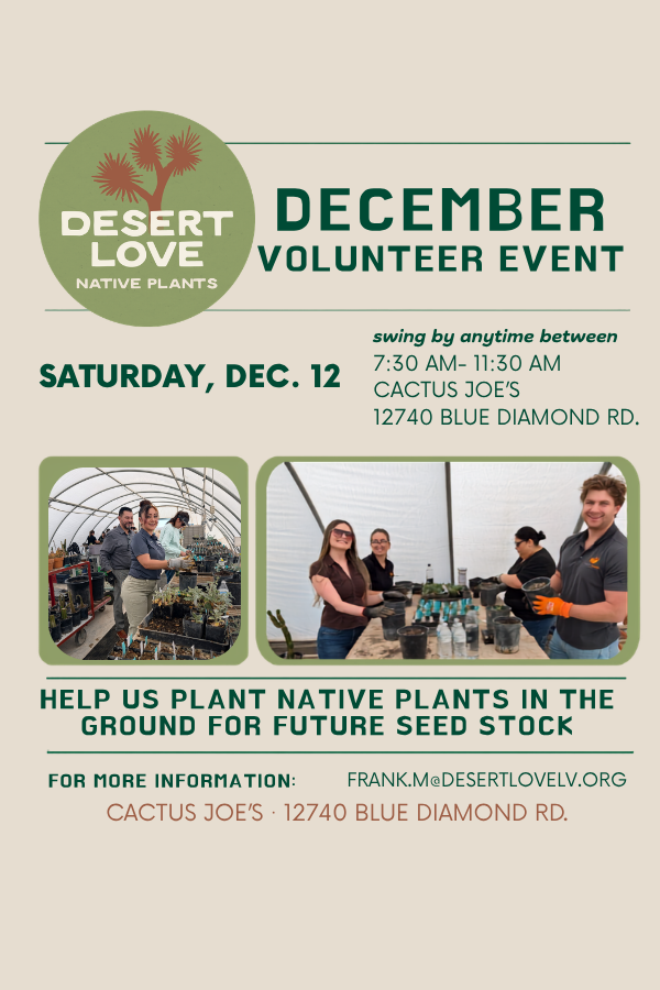 Desert Love Fall Volunteer Days