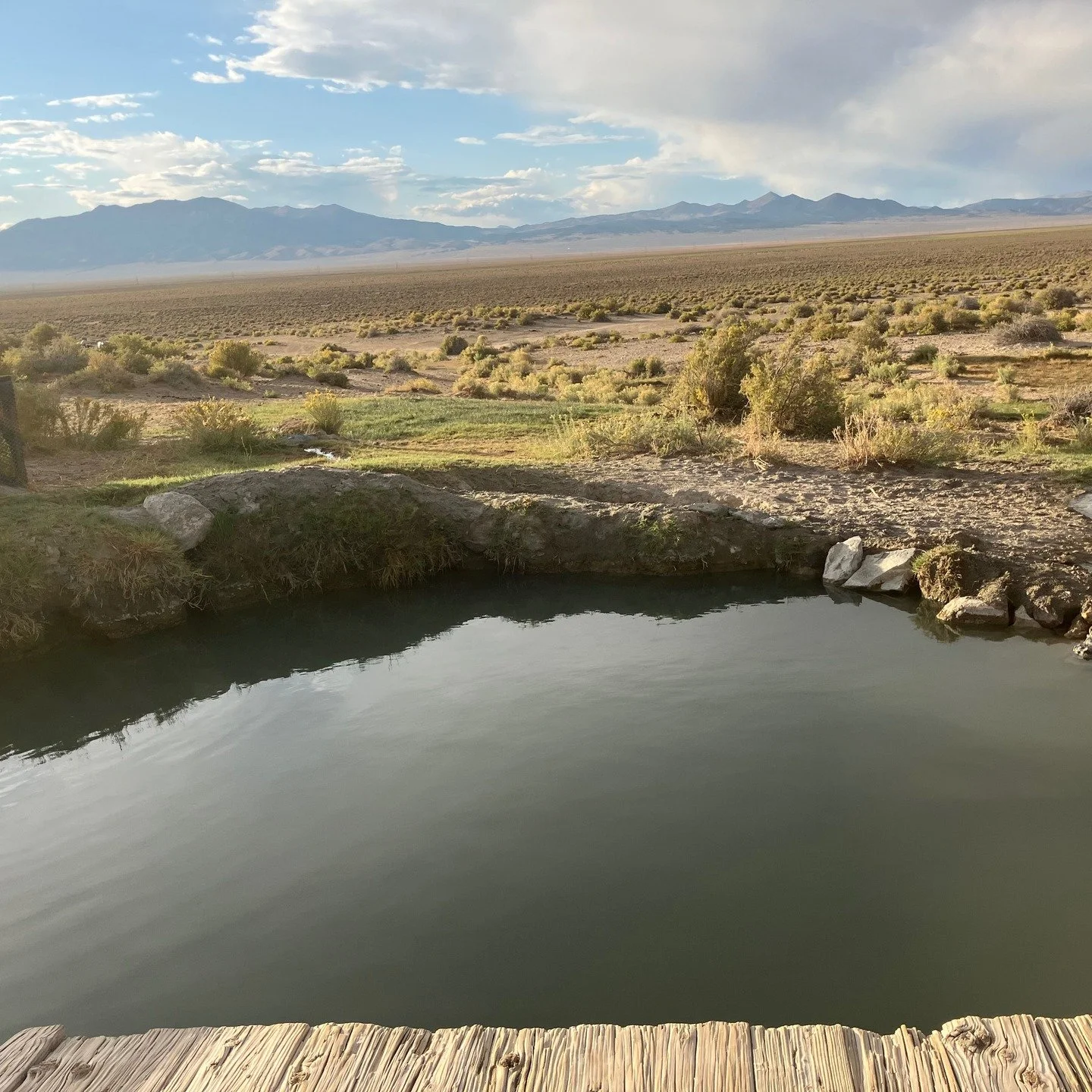 Hot springs that get frequented by wild burro's ! Pretty cool !