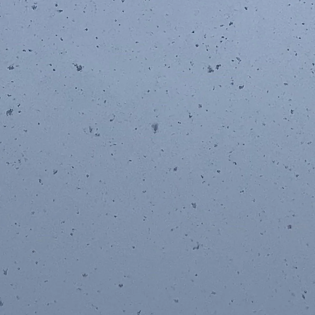 Finally !! A day to organize and work on tack. Call or DM for inquiries on dates!
#horseback #horsevacation #horsebackvacation #horseriding #horseexcursion
#southernutah #horseutah #horsebackutah #utahvacation #brycecanyon
#escalante #highway12