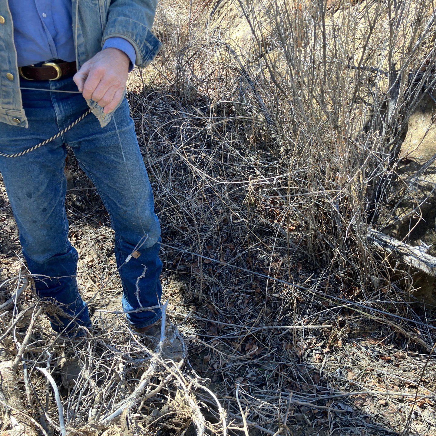 just rode my horse into a trap, that was layed out across the trail. Any idiot can see the trail is improved by humans, and used by cows, dogs,humans and horses . Keep your eyes open for branches across trails. This is BLM land, not NF or Monument.