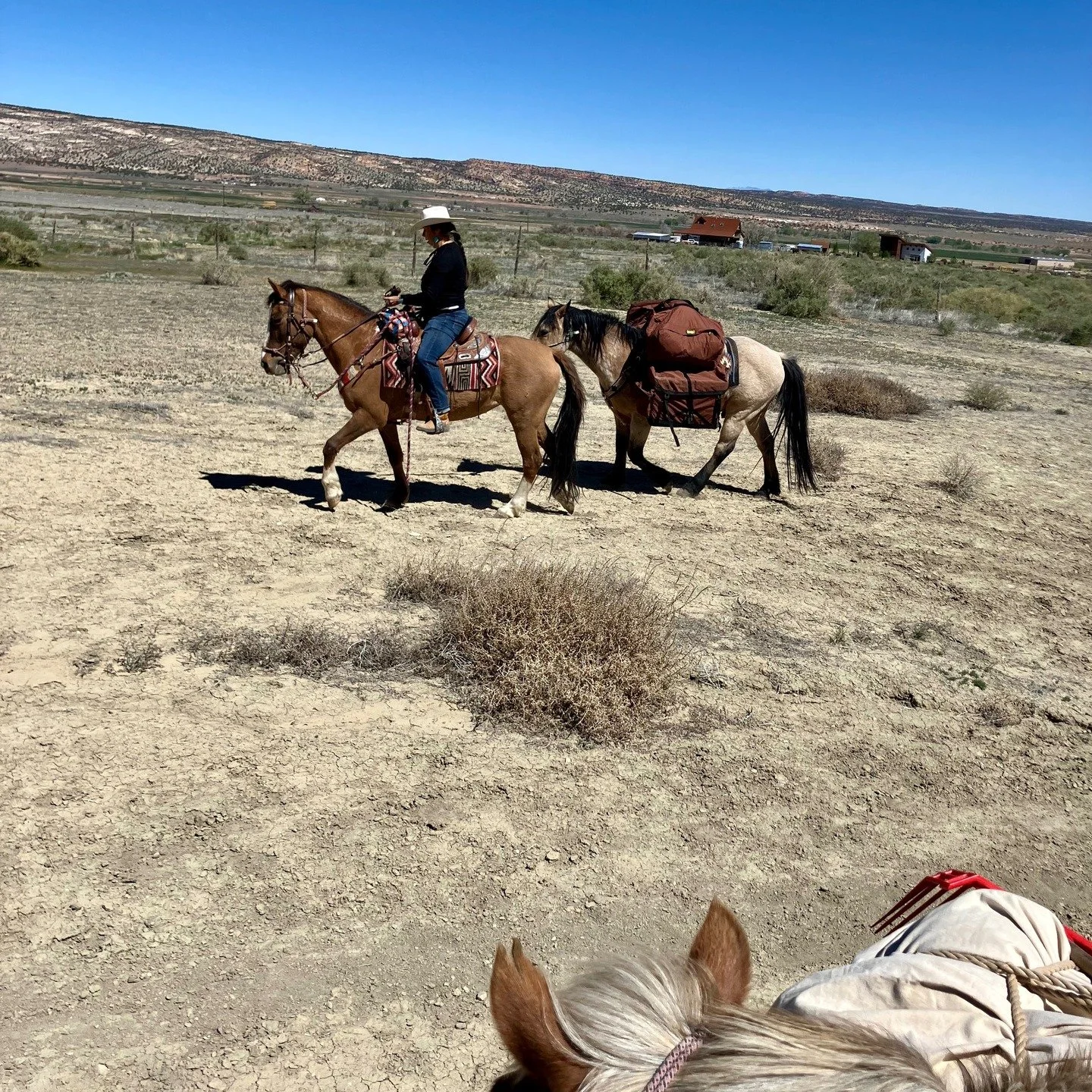 Heading out on a 5 day pack trip ! Call or DM for inquiries on dates!
#horseback #horsevacation #horsebackvacation #horseriding #horseexcursion
#southernutah #horseutah #horsebackutah #utahvacation #brycecanyon
#escalante #highway12