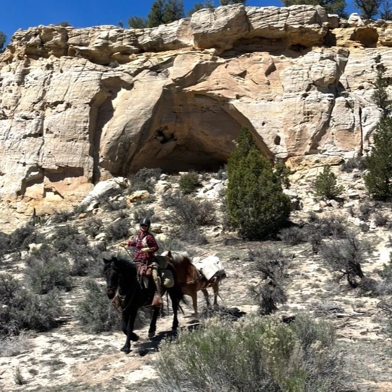 Day 2, after a cold night ! This was last week, I was not able to post then as we had no reception for all 5 days ! Call or DM for inquiries on dates!
#horseback #horsevacation #horsebackvacation #horseriding #horseexcursion
#southernutah #horseutah 