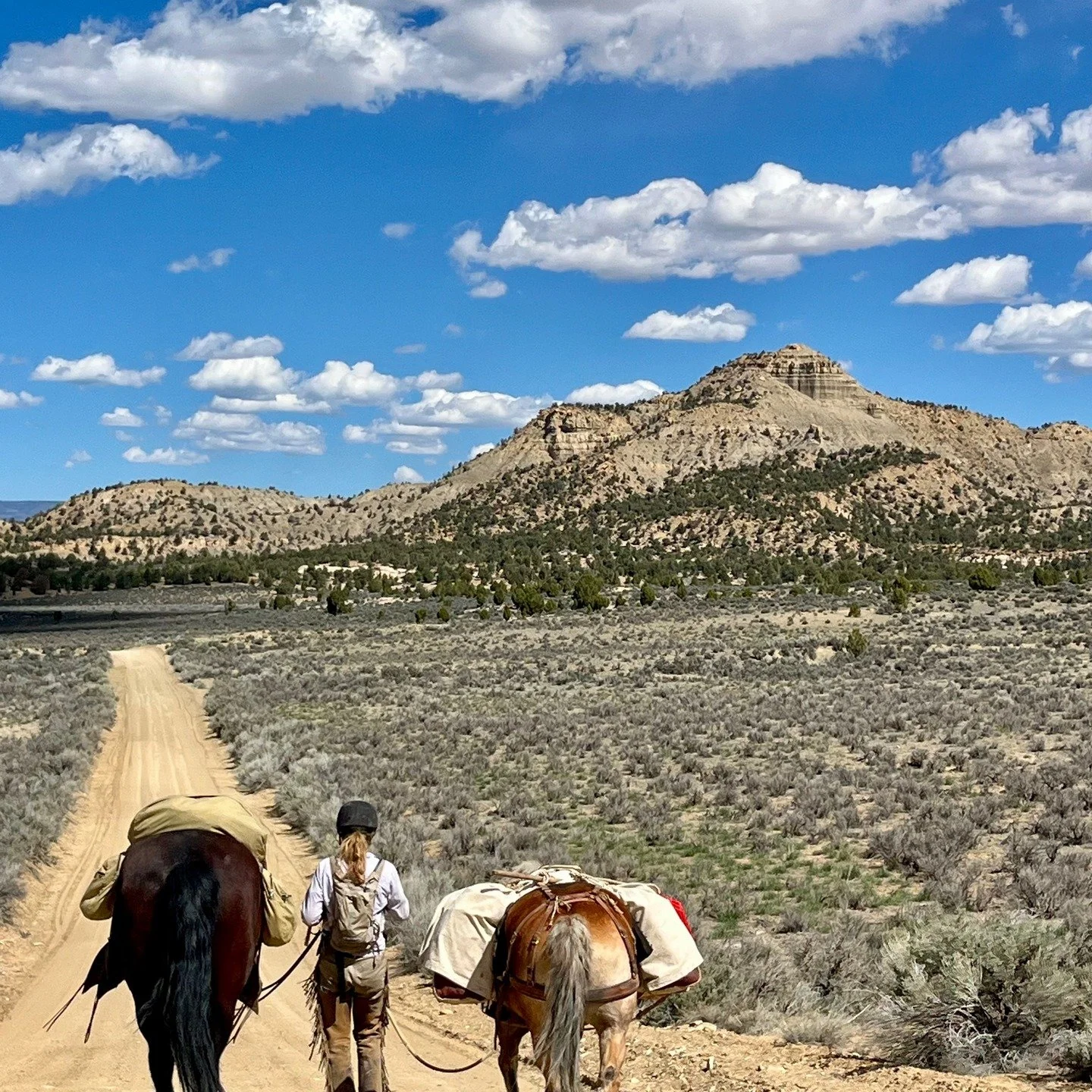 Day 4, our favorite camp spot, also the warmest night, no tent needed and a well deserved Raclette for dinner ! Call or DM for inquiries on dates!
#horseback #horsevacation #horsebackvacation #horseriding #horseexcursion
#southernutah #horseutah #hor