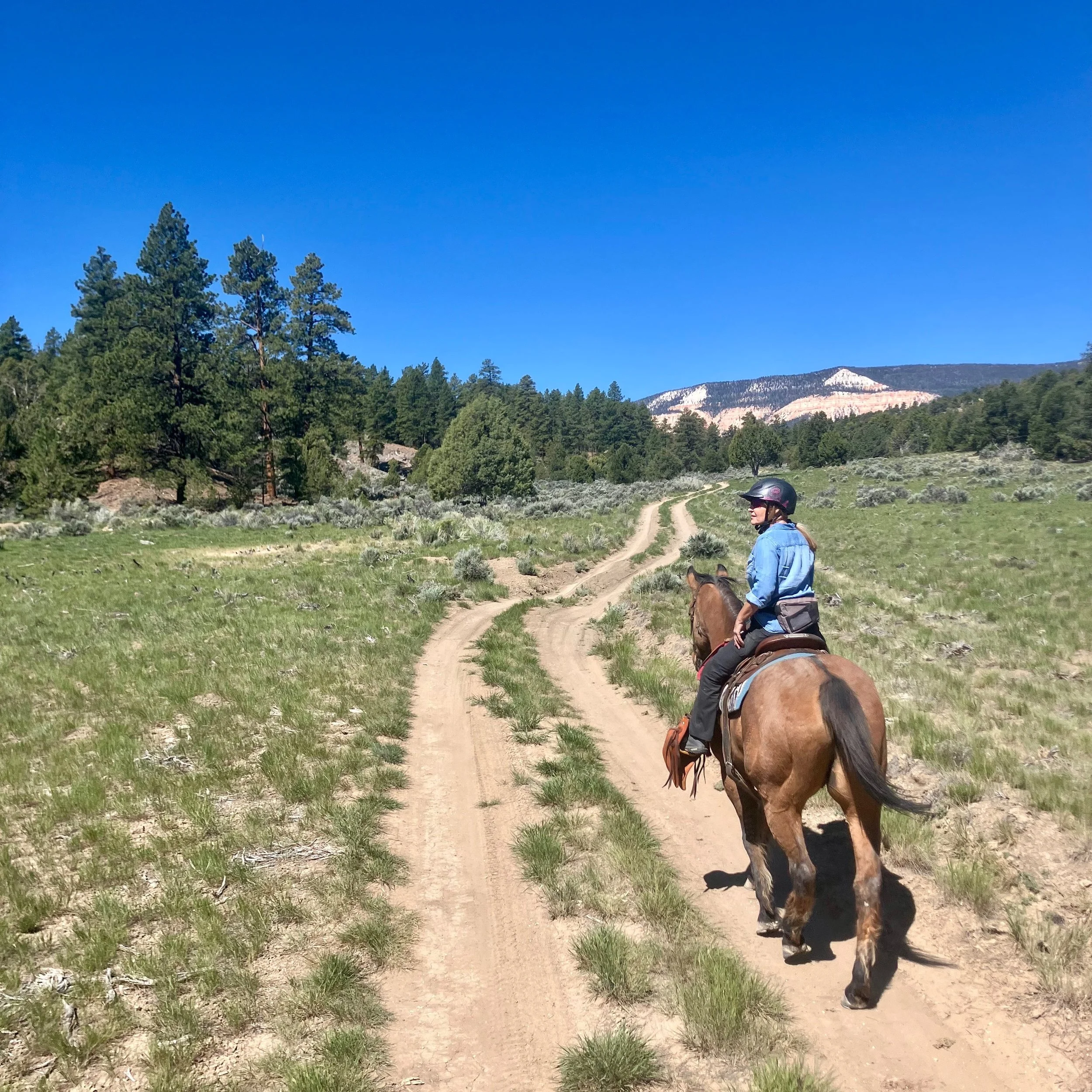 1/2 day ride through the Dixie, hoping to camp at the Yurt again soon ! Call or DM for inquiries on dates!
#horseback #horsevacation #horsebackvacation #horseriding #horseexcursion
#southernutah #horseutah #horsebackutah #utahvacation #brycecanyon
#e