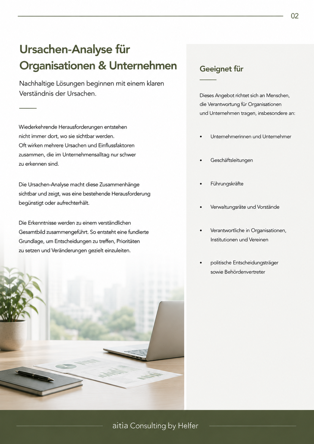 Seite 2 URSACHEN-ANALYSE ORGANISATIONEN & UNTERNEHMEN.png