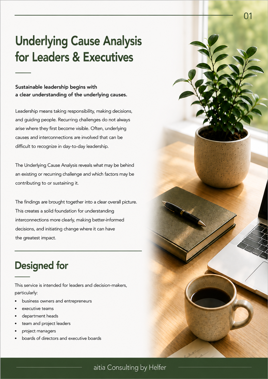 Seite 1 UNDERLYING CAUSE ANALYSIS FOR LEADERS & EXECUTIVES.png