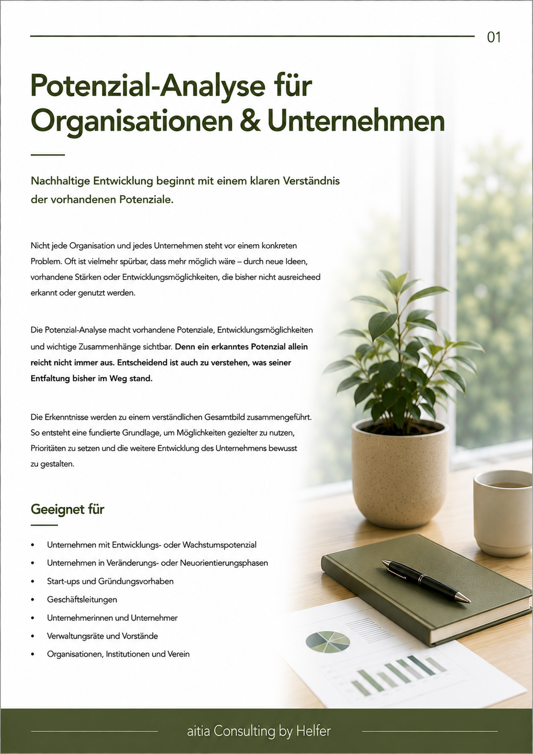 Seite 1 POTENZIAL-ANALYSE FÜR ORGANISATIONEN & UNTERNEHMEN.png