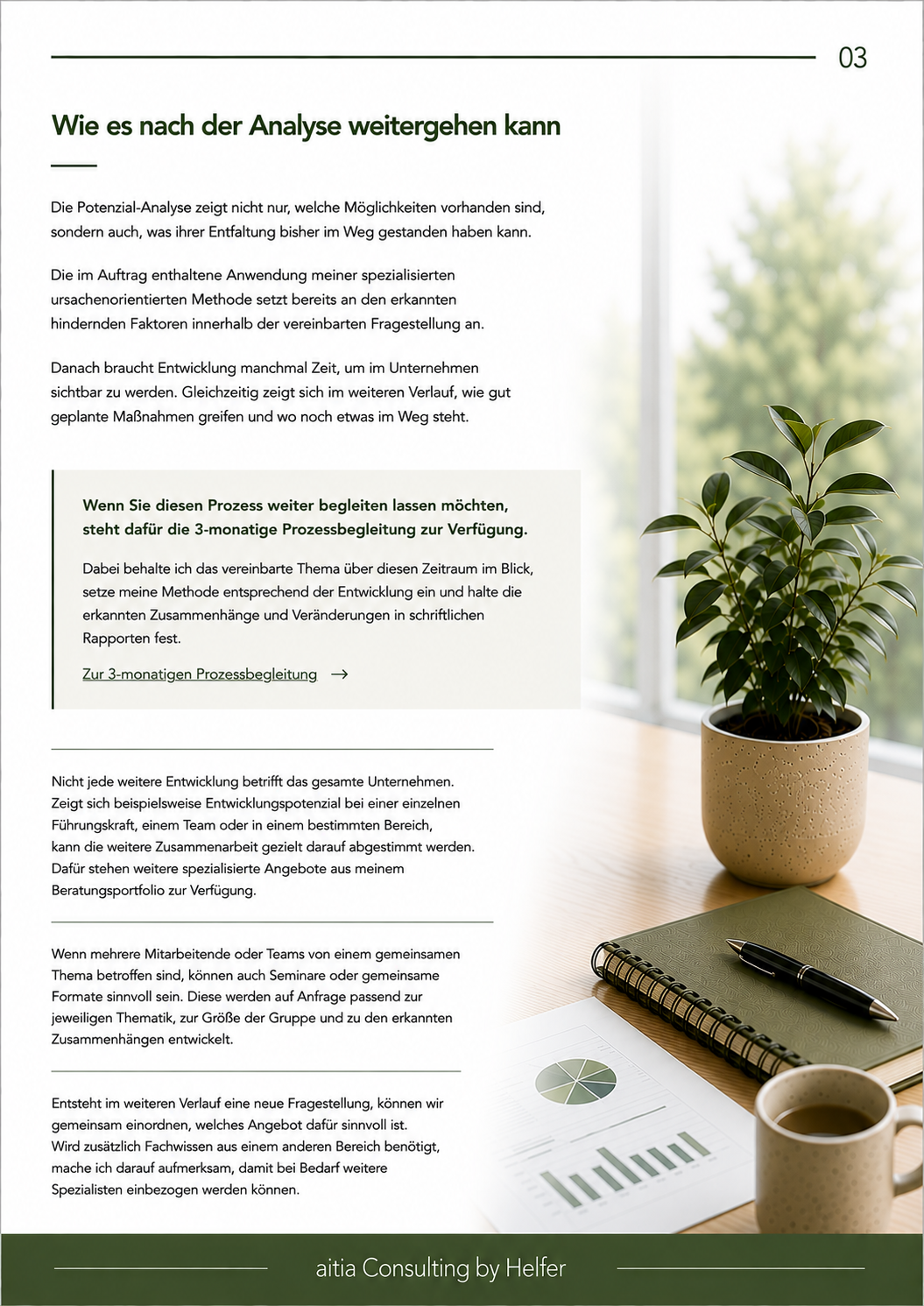 Seite 3 POTENZIAL-ANALYSE FÜR ORGANISATIONEN & UNTERNEHMEN.png