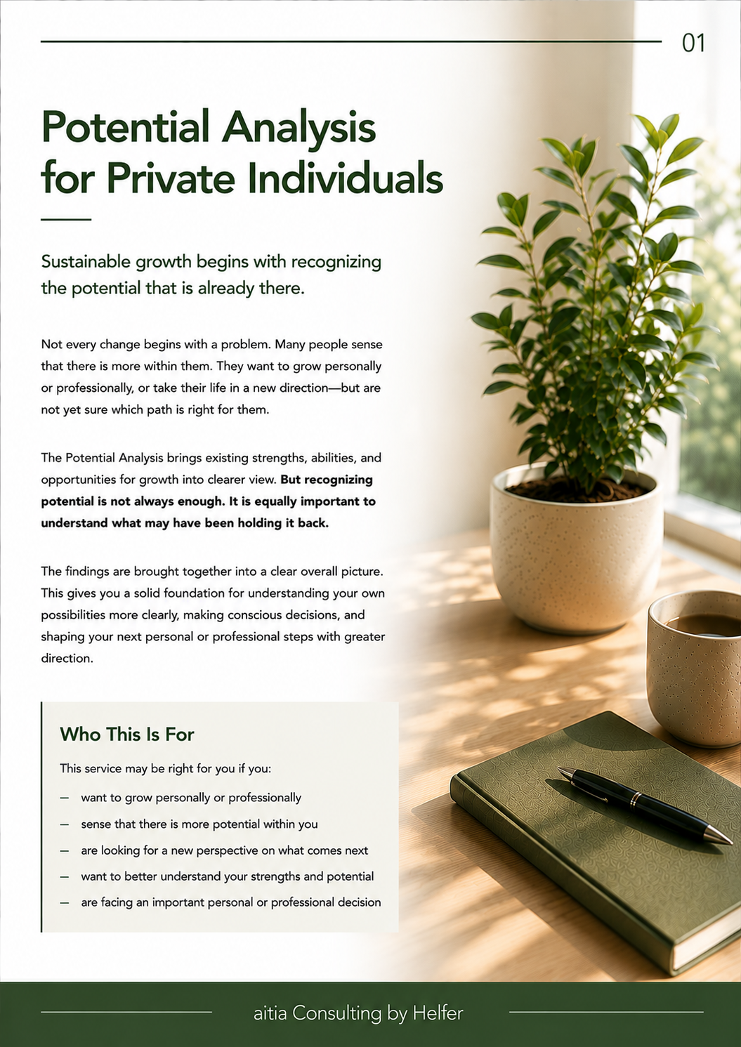 Seite 1 POTENTIAL ANALYSIS FOR PRIVATE INDIVIDUALS.png