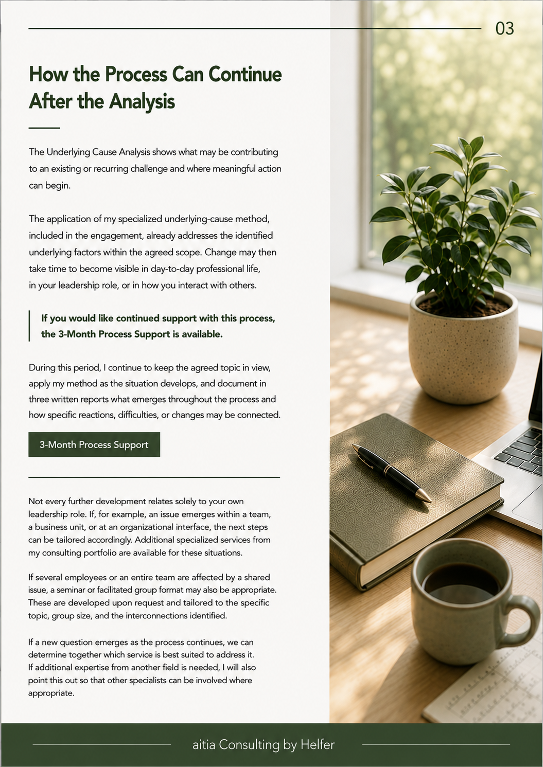 Seite 3 UNDERLYING CAUSE ANALYSIS FOR LEADERS & EXECUTIVES.png