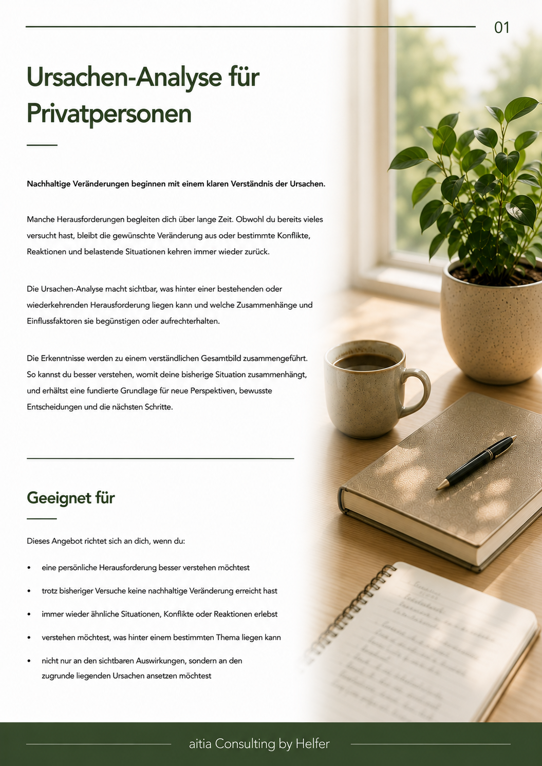 Seite 1 URSACHEN-ANALYSE FÜR PRIVATPERSONEN.png