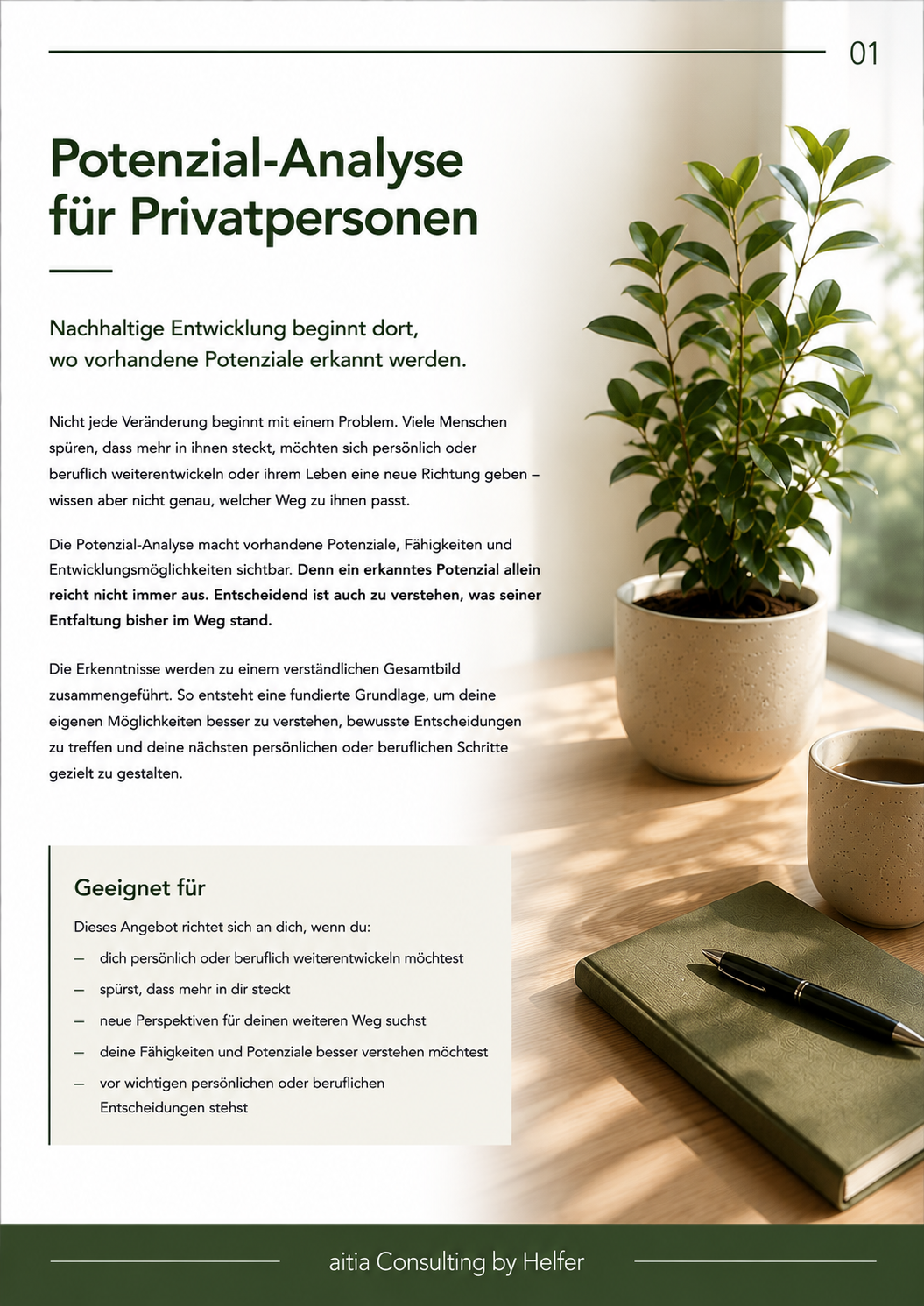 Seite 1 POTENZIAL-ANALYSE FÜR PRIVATPERSONEN.png