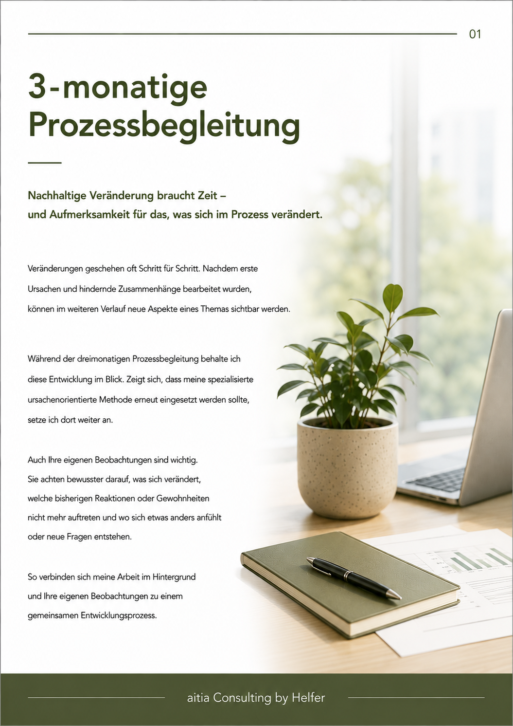 Seite 1 3-MONATIGE PROZESSBEGLEITUNG.png