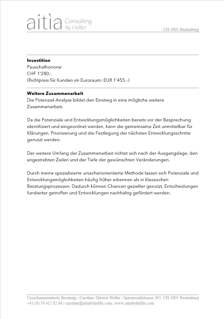 Angebot für Webshop_Potenzial-Analyse für Organisationen und Unternehmen_2.Seite.png