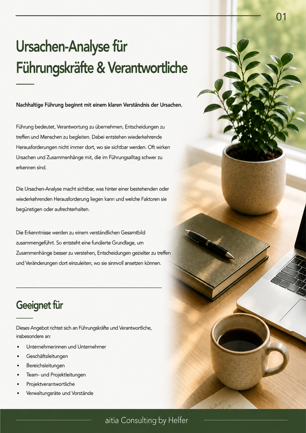 Seite 1 URSACHEN-ANALYSE FÜR FÜHRUNGSKRÄFTE & VERANTWORTLICHE.png