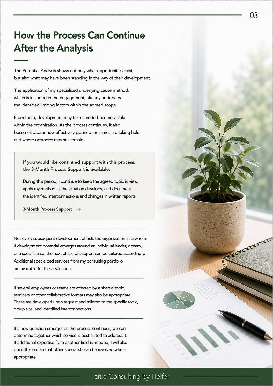 Seite 3 POTENTIAL ANALYSIS FOR ORGANIZATIONS & BUSINESSES.png