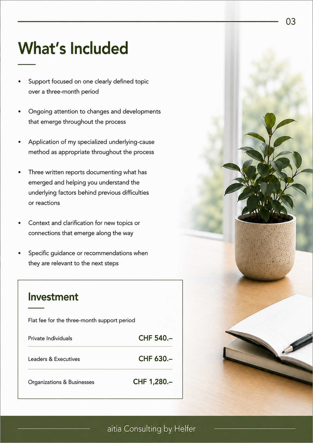 Seite 3 3-MONTH DEVELOPMENT SUPPORT.png