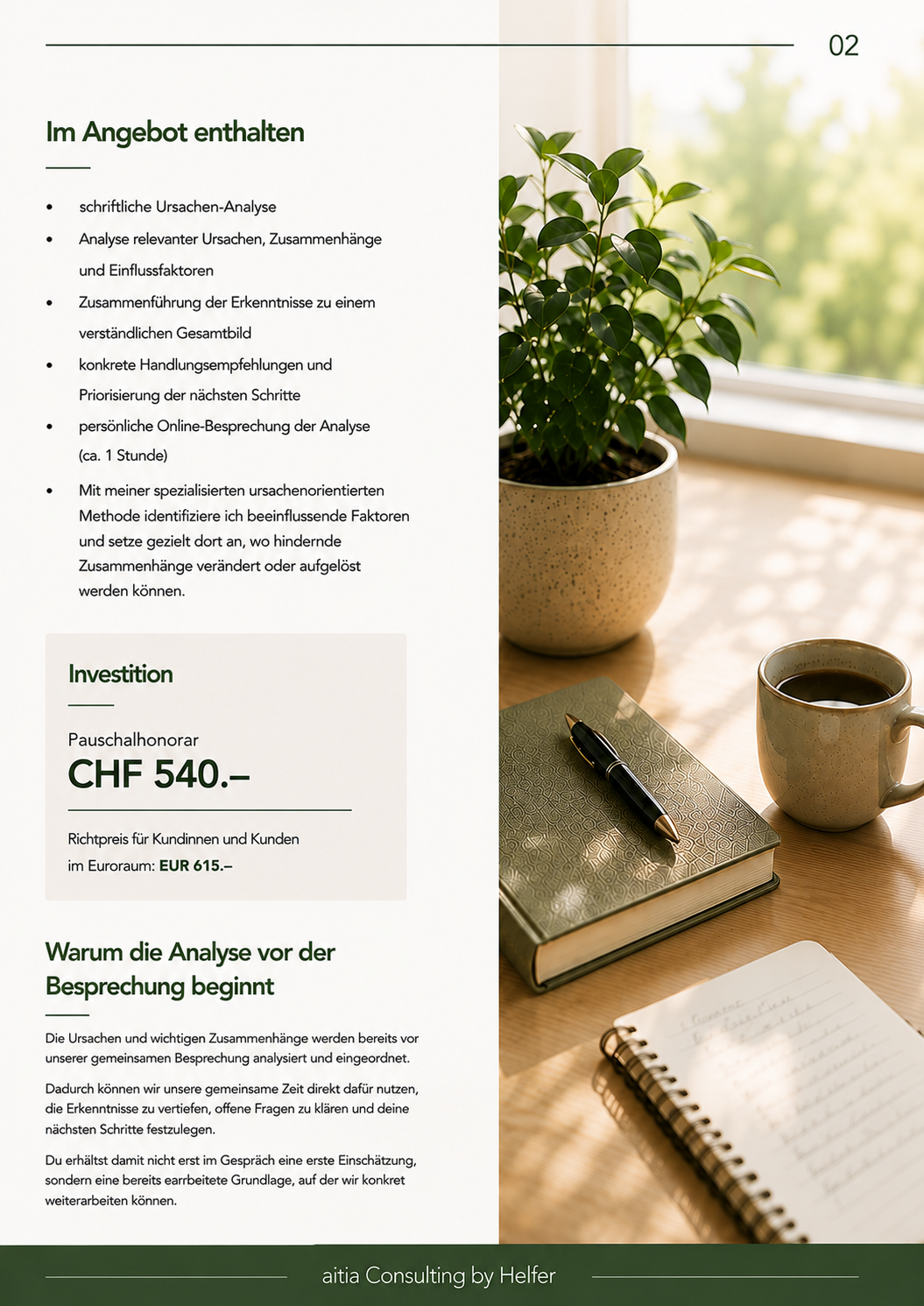 Seite 2 URSACHEN-ANALYSE FÜR PRIVATPERSONEN.png