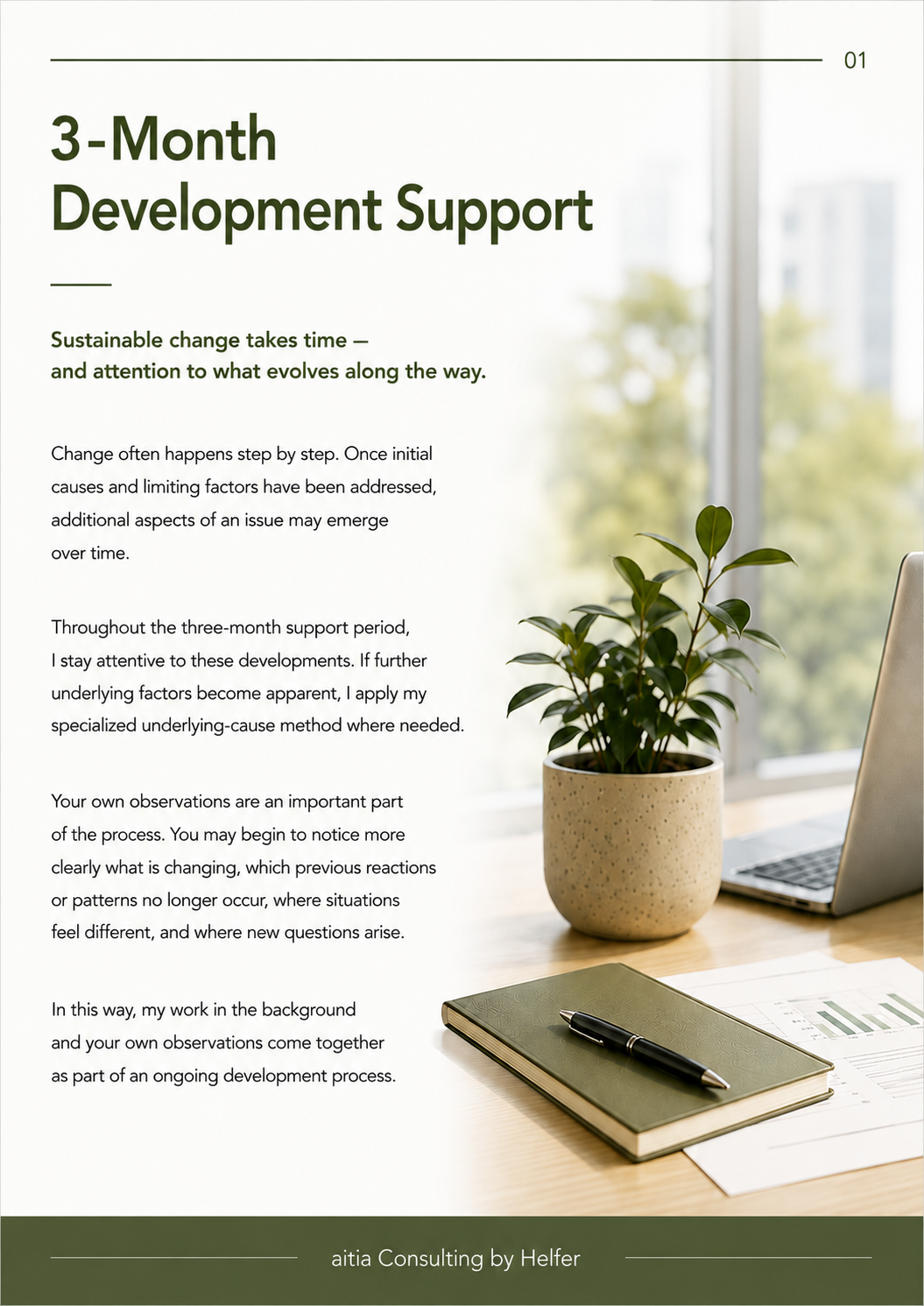 Seite 1 3-MONTH DEVELOPMENT SUPPORT.png