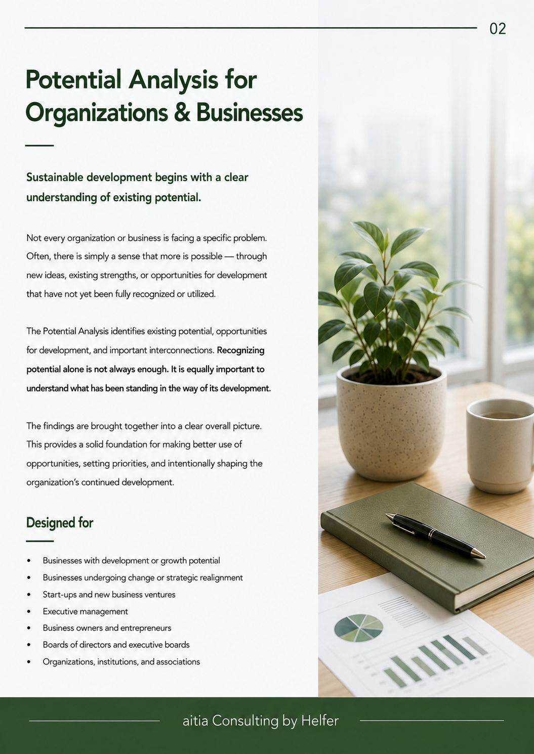Seite 1 POTENTIAL ANALYSIS FOR ORGANIZATIONS & BUSINESSES.png