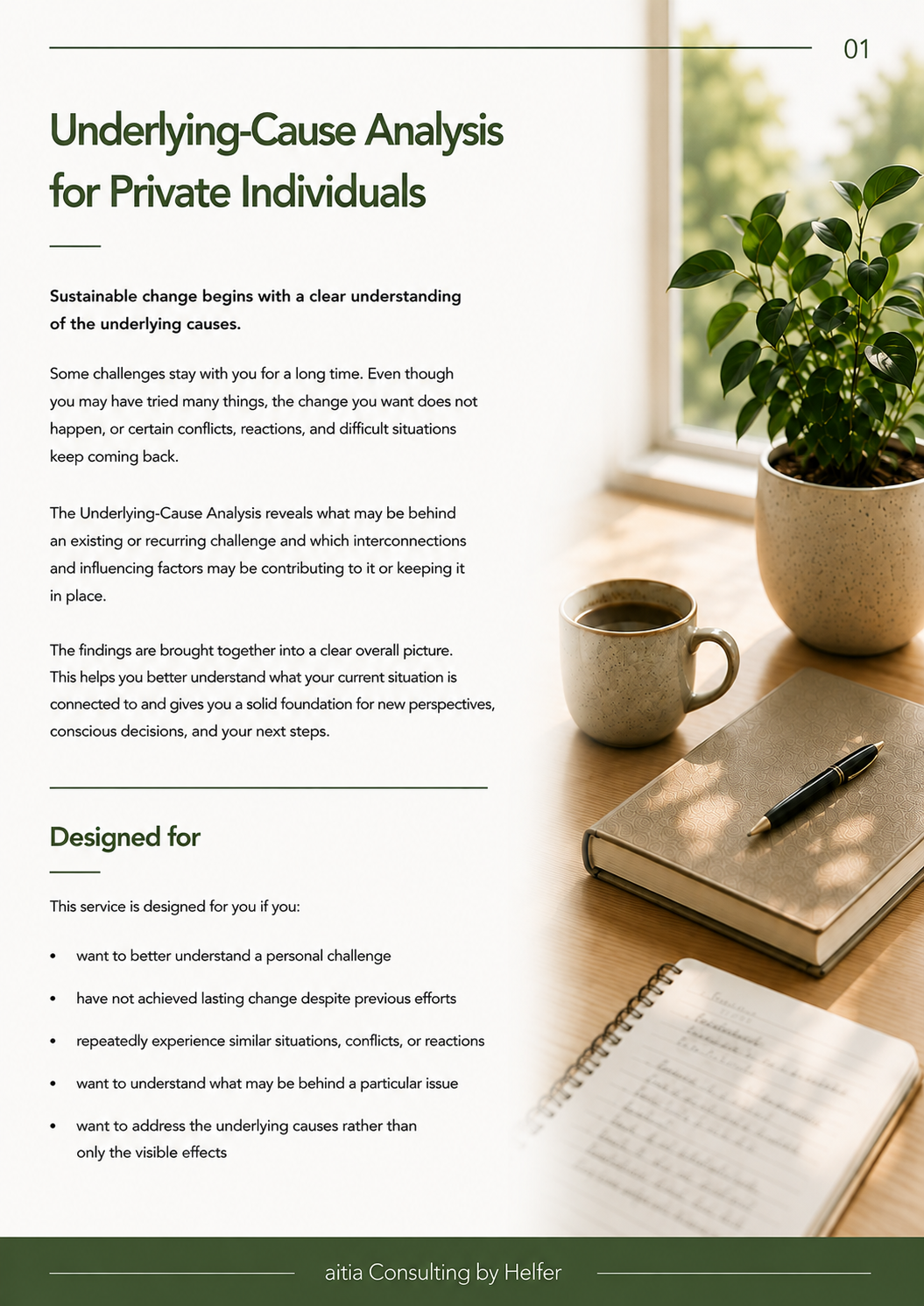 Seite 1 UNDERLYING-CAUSE ANALYSIS FOR PRIVATE INDIVIDUALS.png