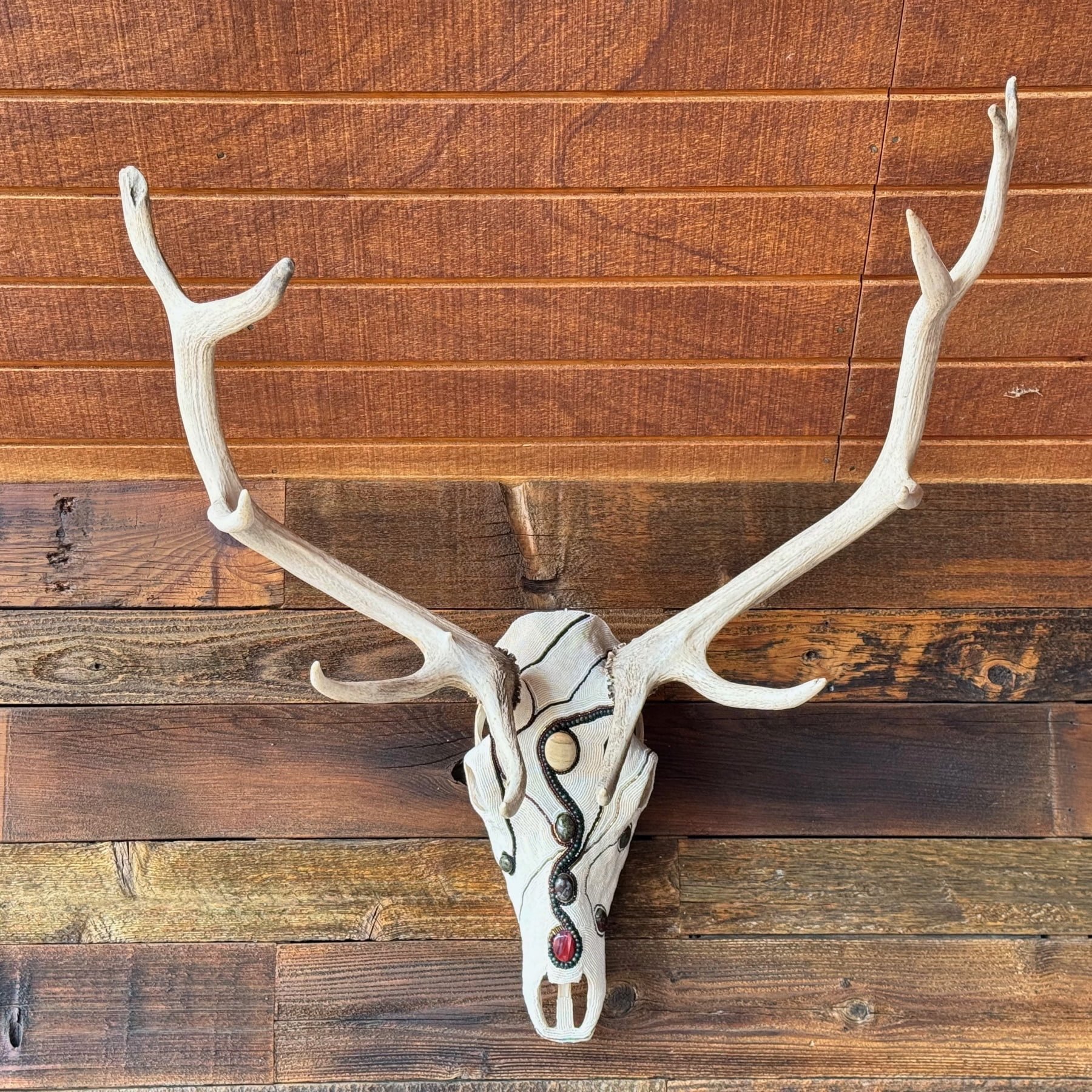 Garnet Elk Skull