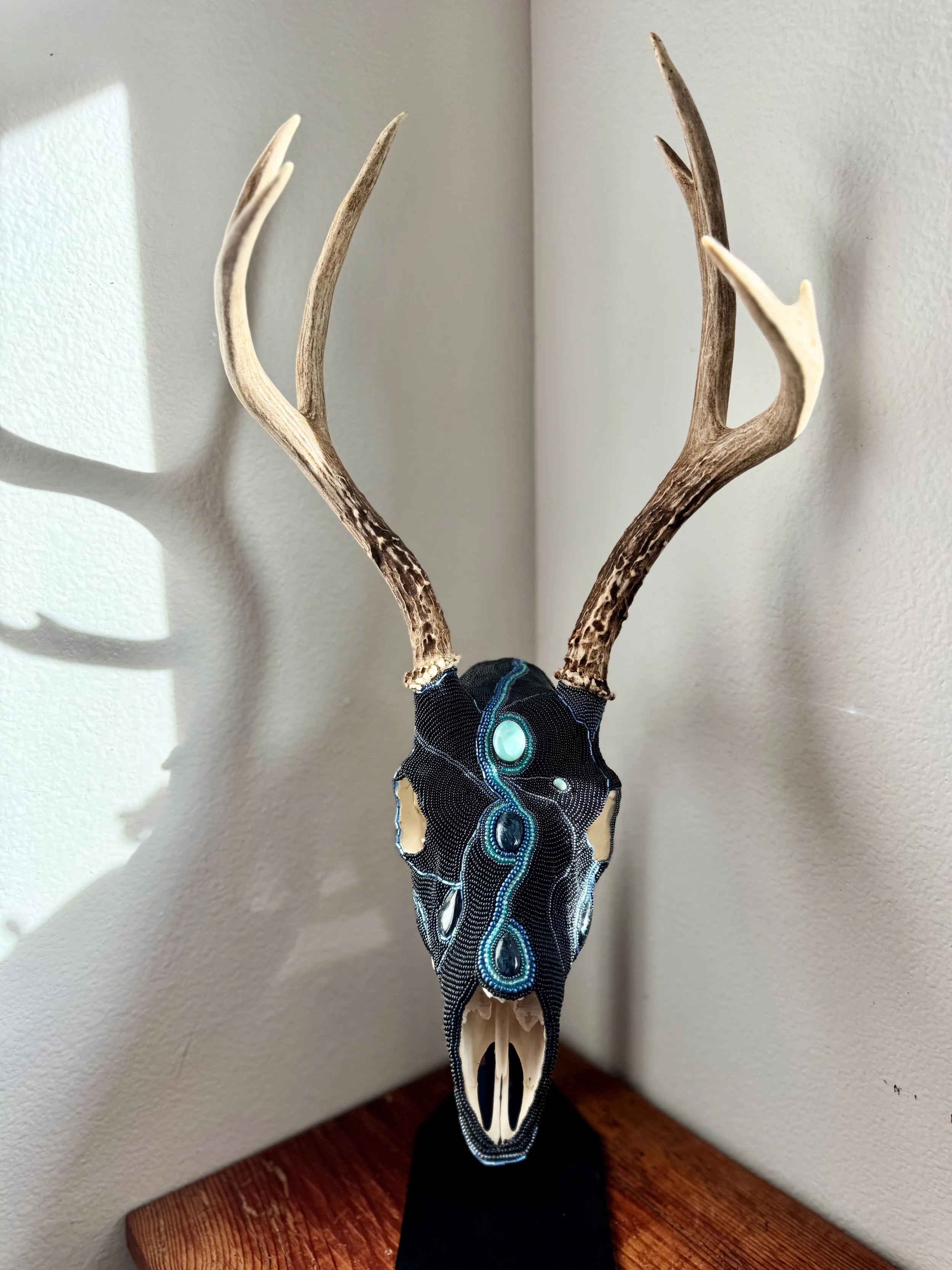 Larimer Buck Skull