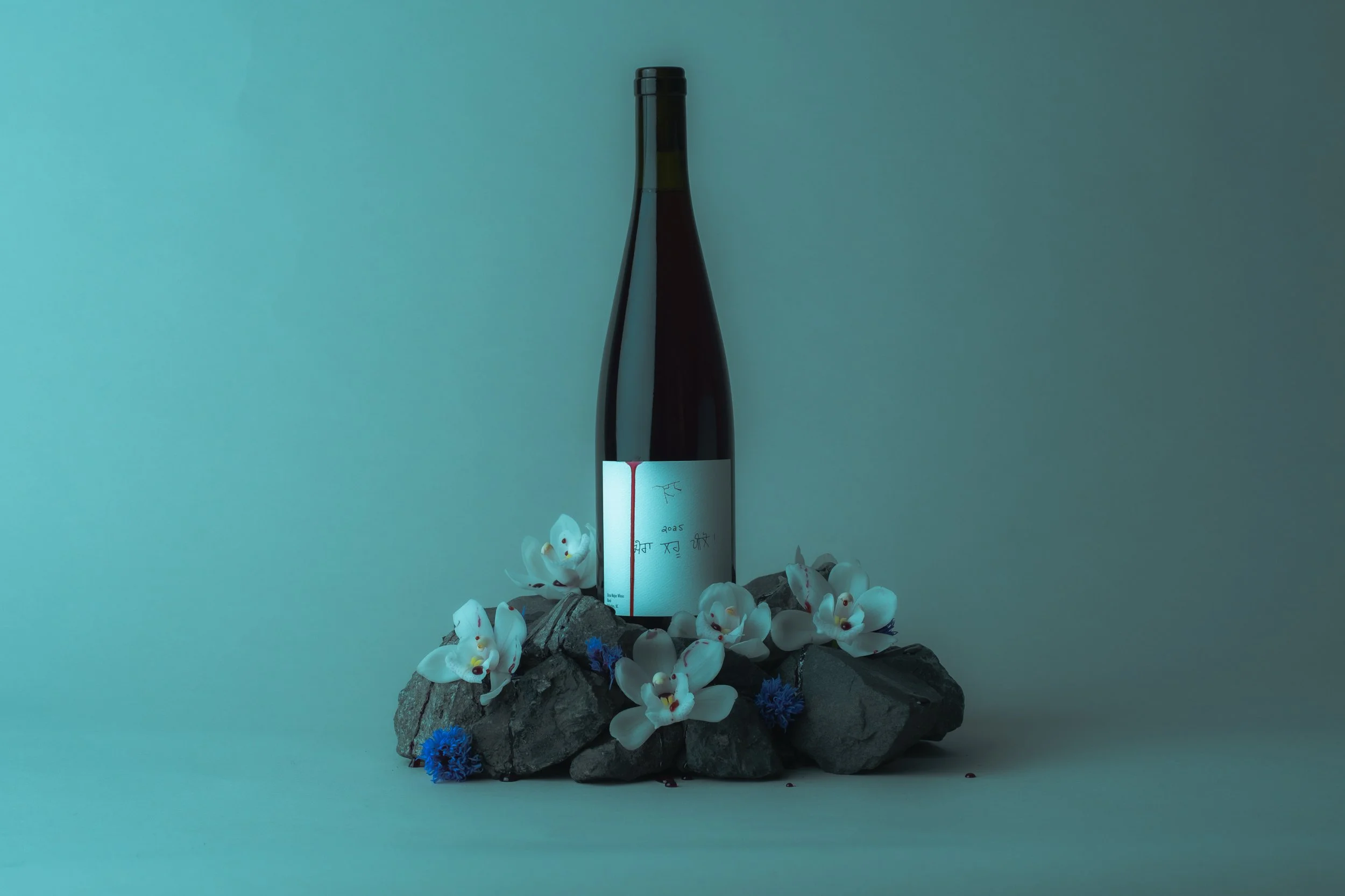 20260211Ursa Major Bottles_Drink My Blood_Vancouver_001-85.jpg