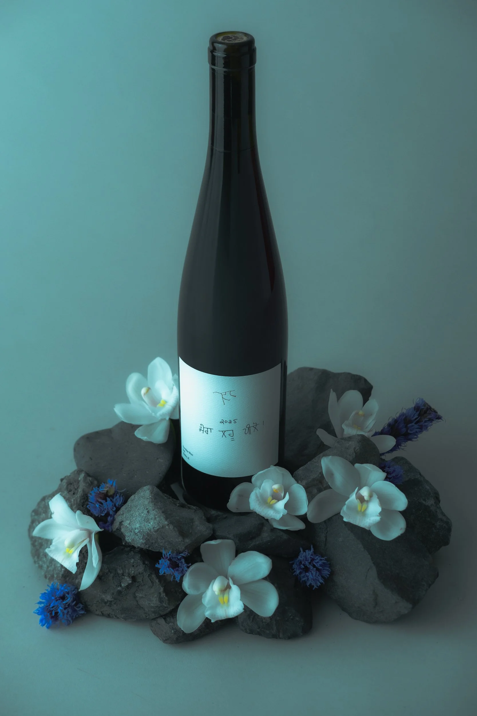 20260211Ursa Major Bottles_Drink My Blood_Vancouver_001-17.jpg