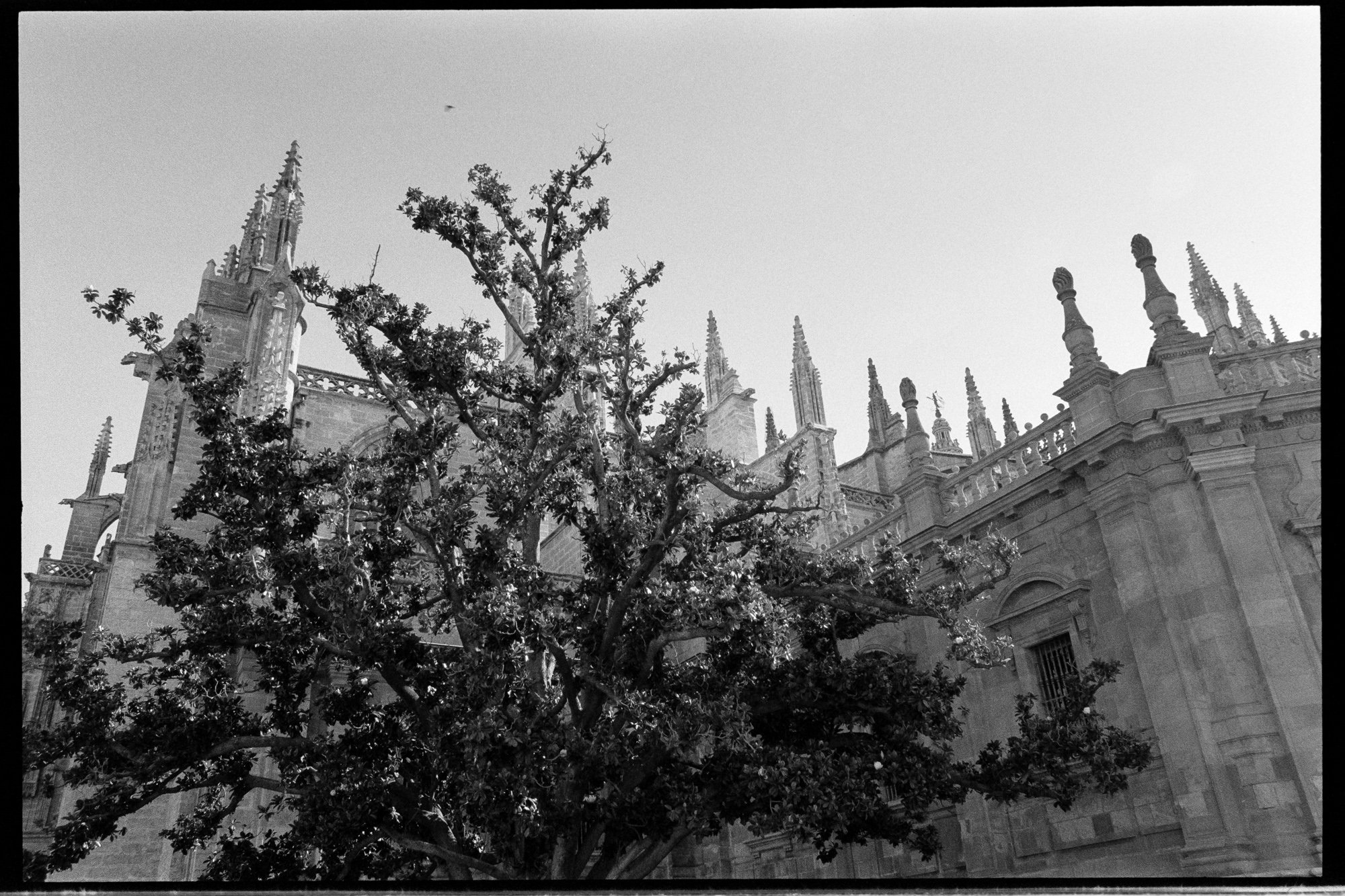 20240710_Portugal2024_NikonF3_KodakTMax 4002731-positive.jpg