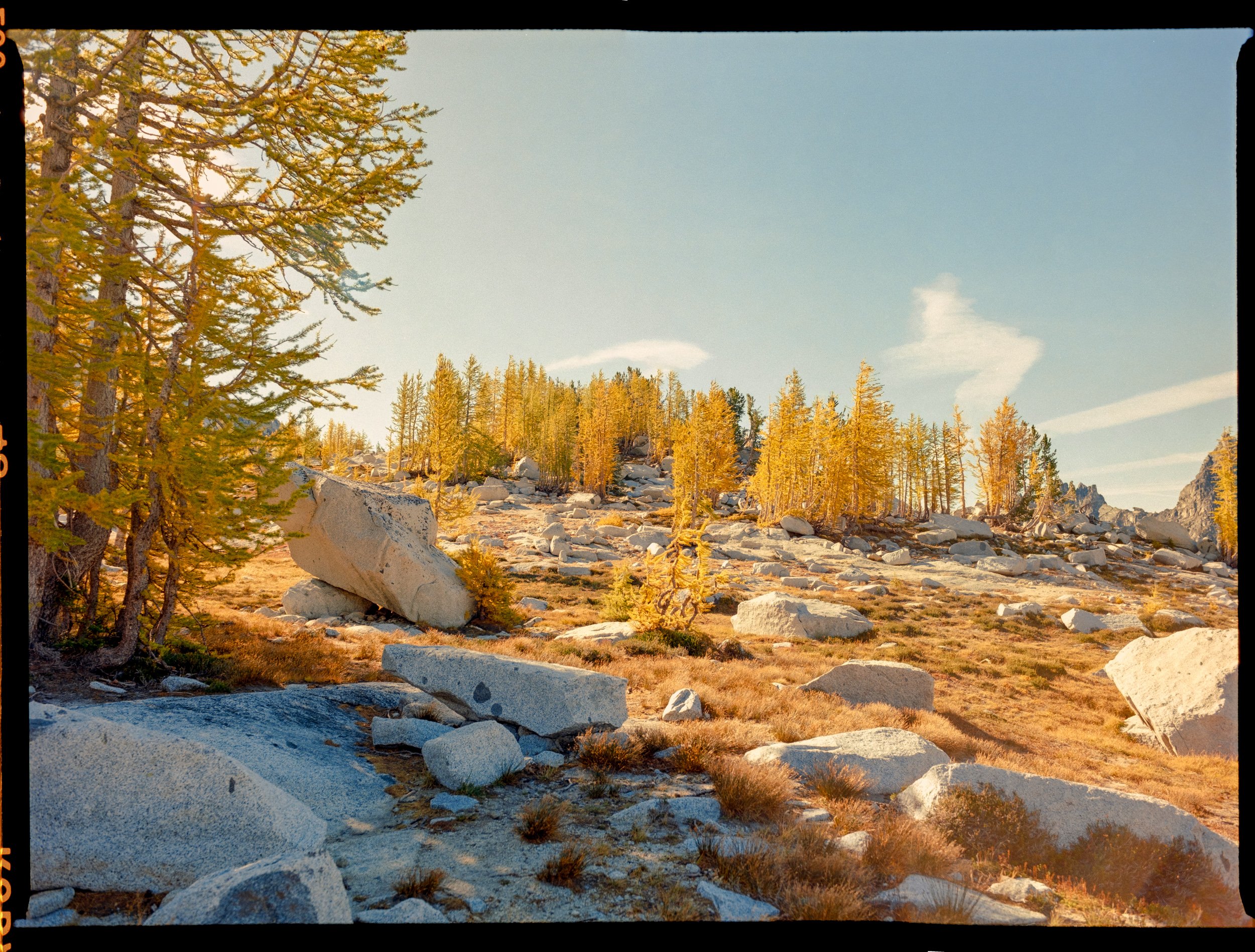 Scenic landscape of rocky terrain with scattered boulders and yellow-leafed trees under a clear blue sky.