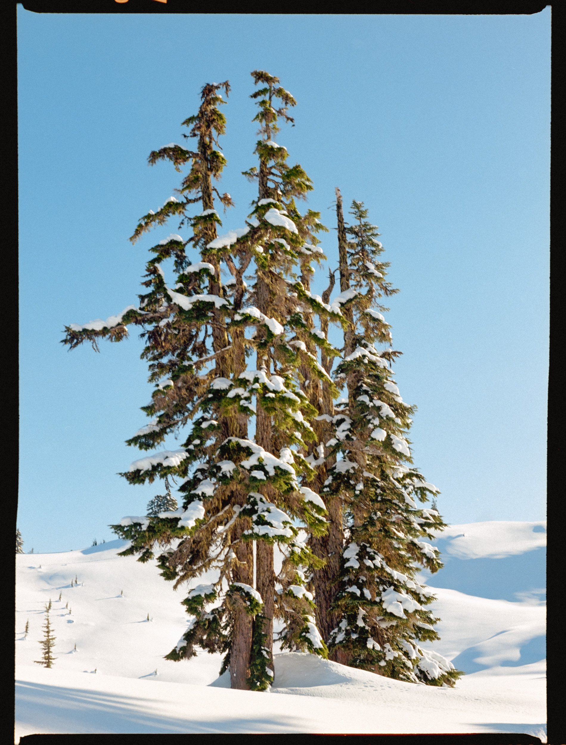 Elfin Lakes-03.jpg
