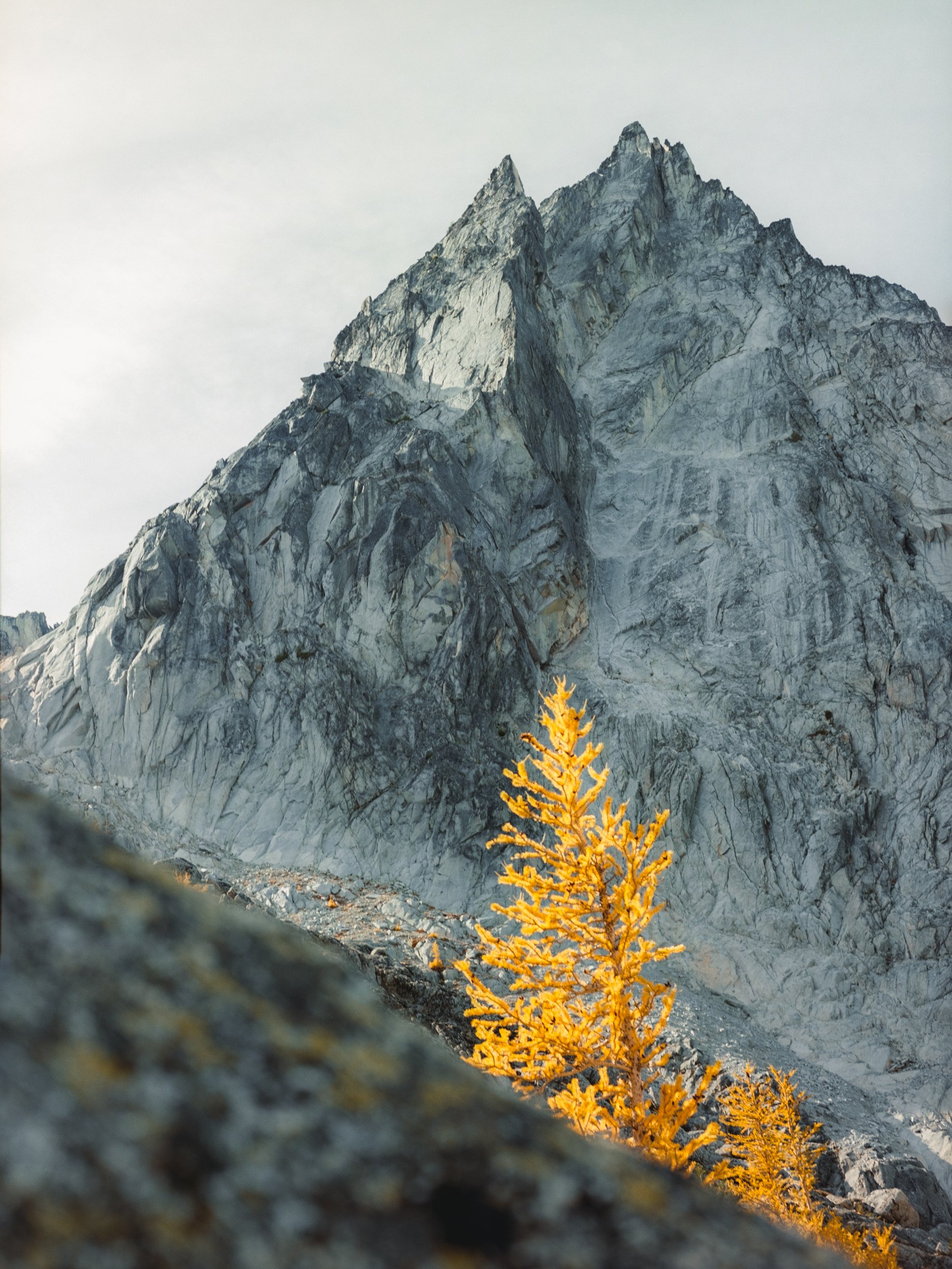 20241003_The Enchantments_Mamiya645_Portra 1602553-Pano-positive.jpg