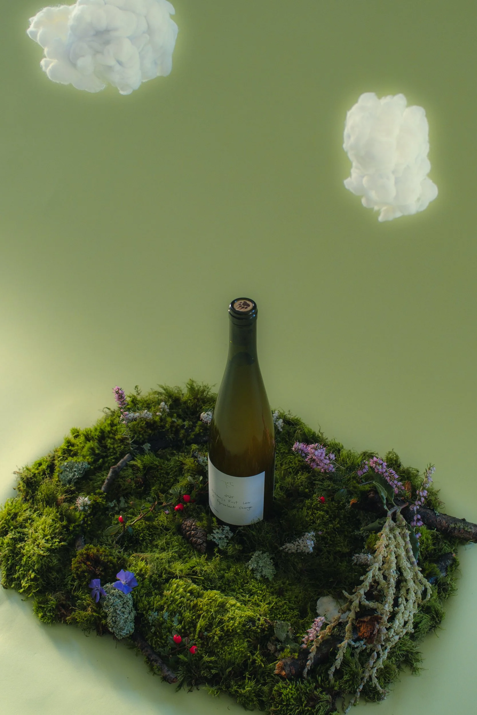 20260210Ursa Major Bottles_Alchemy's First Law of Equivalent Change_Vancouver_001-216.jpg